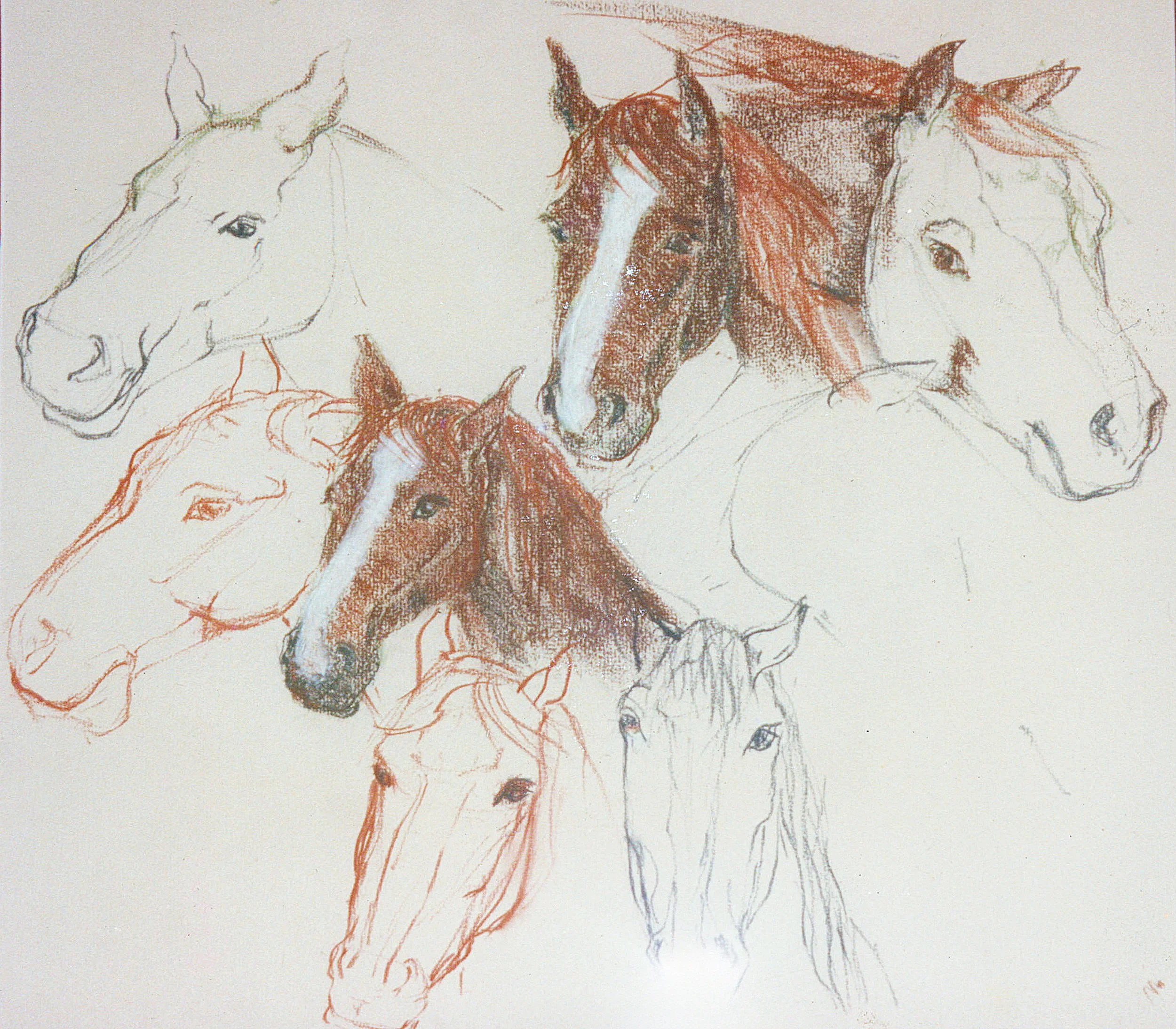  TOPIC  : Horse Heads

 

 PAINTING  : Horse Study #7

 

 MEDIA  : Pastel

 

 SIZE  : 16 X 19"
 

 PRICE  : $375