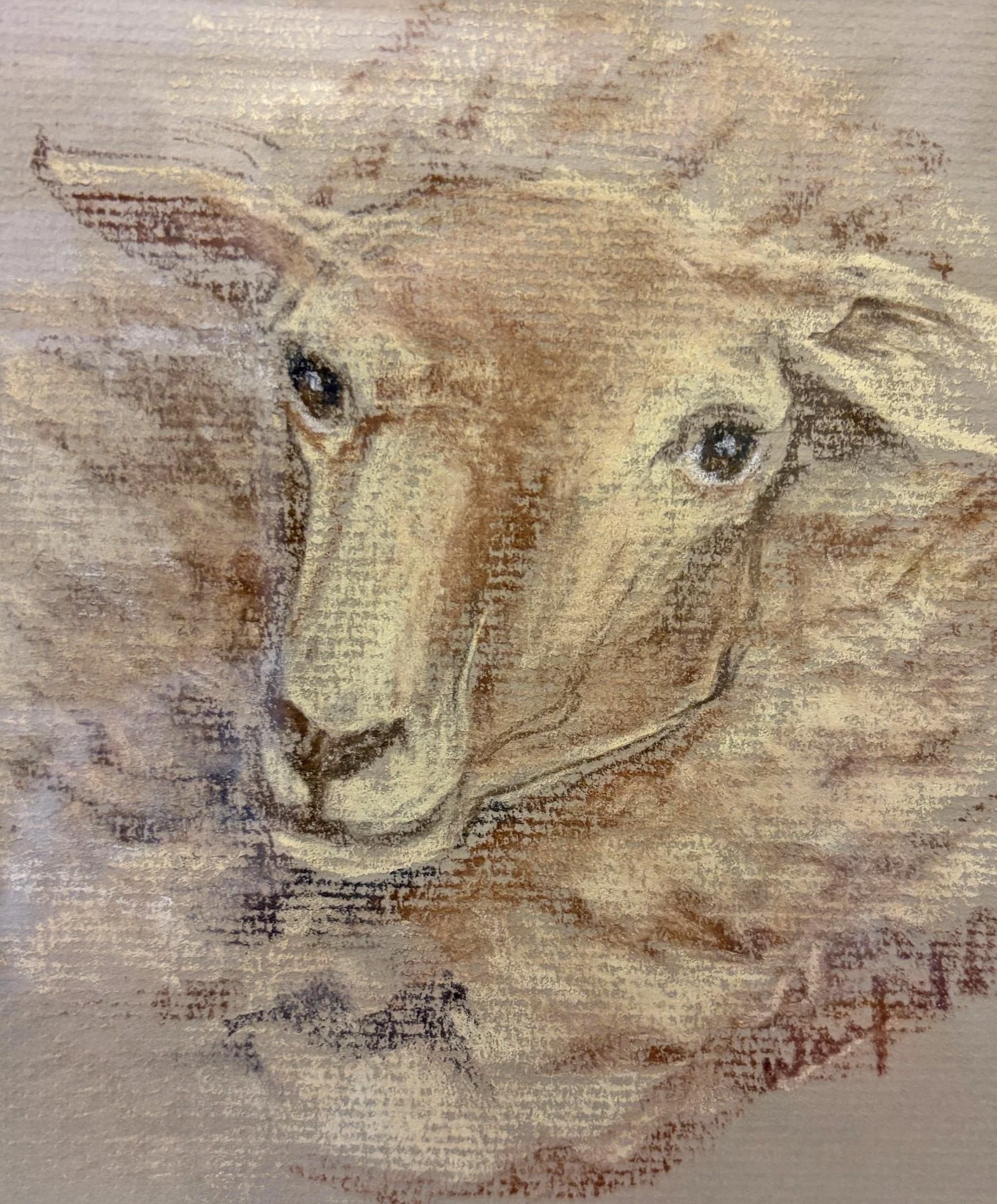  TOPIC  : Lamb

 

 PAINTING  : Lamb With Full Coat

 

 MEDIA  : Pastel

 

 SIZE  : 6 X 5"

 

 PRICE  : $150