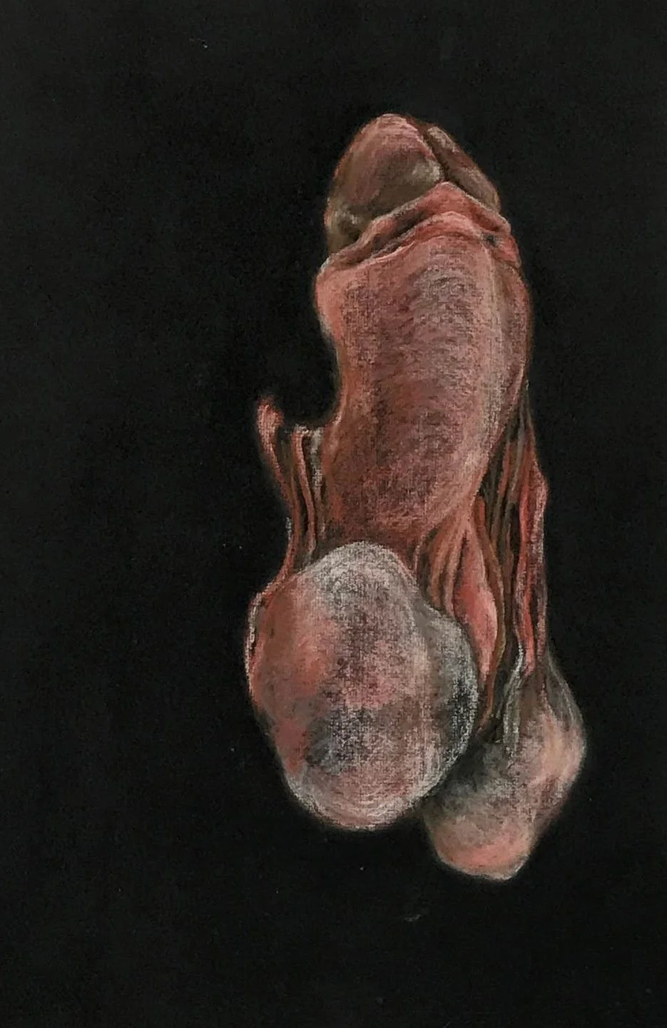  Penis Study #1 

 

 MEDIA  : Pastel

 

 SIZE  : 16" X 20"

 

 PRICE  : PRIVATE
COLLECTION
