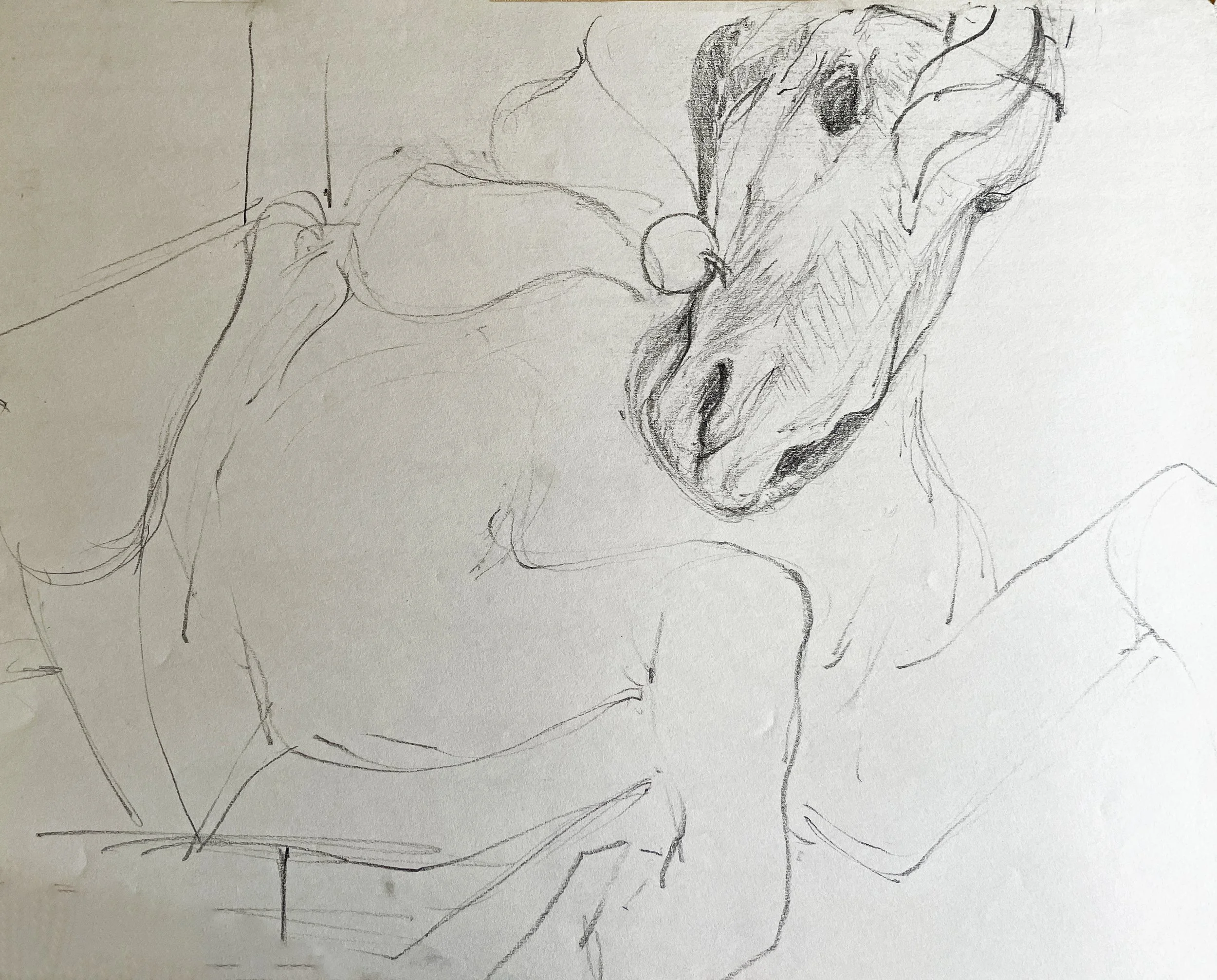  Carousel Horse Head Study 

 

 MEDIUM  : CHARCOAL

 

 DIMENSIONS  : 18" X 22"

 

 PRICE  : $250