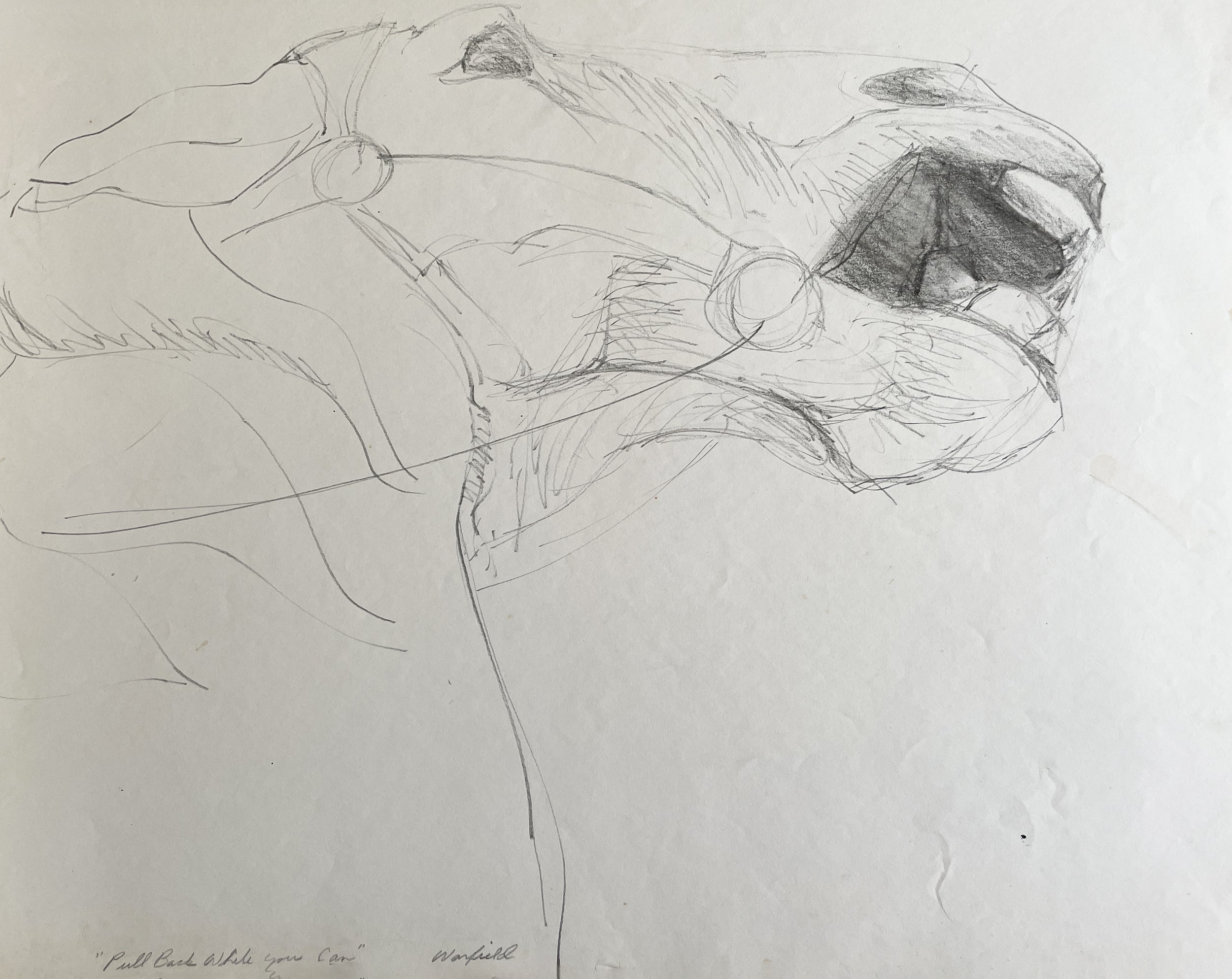  Pull Back While Your Can- The Rebel Study #2 

 

 MEDIUM  : Charcoal

 

 DIMENSIONS  : 18" X 22"

 

 PRICE  : $250