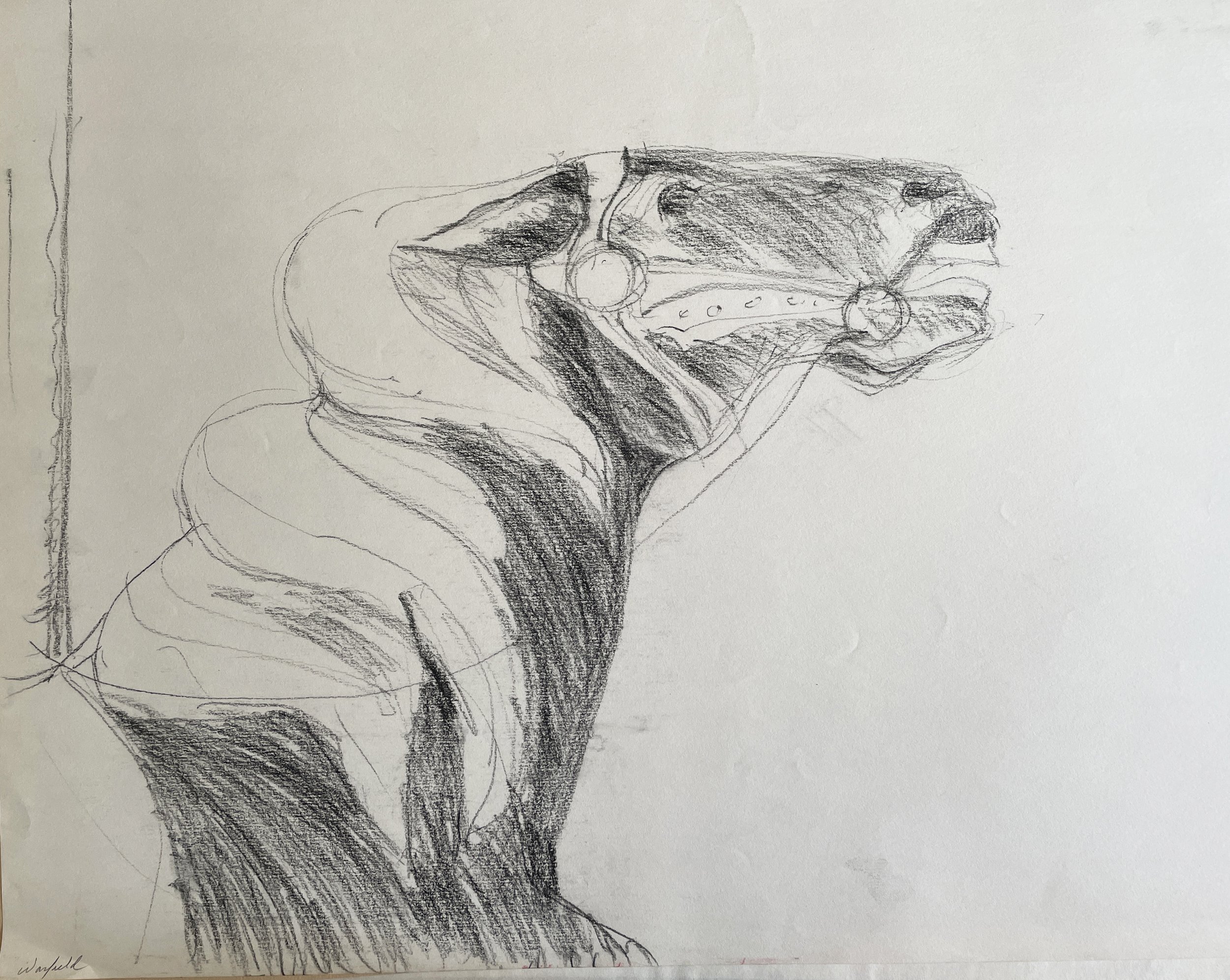  Leaders Study 

 

 MEDIUM  : Charcoal

 

 DIMENSIONS  : 18" X 22"

 

 PRICE  : $250