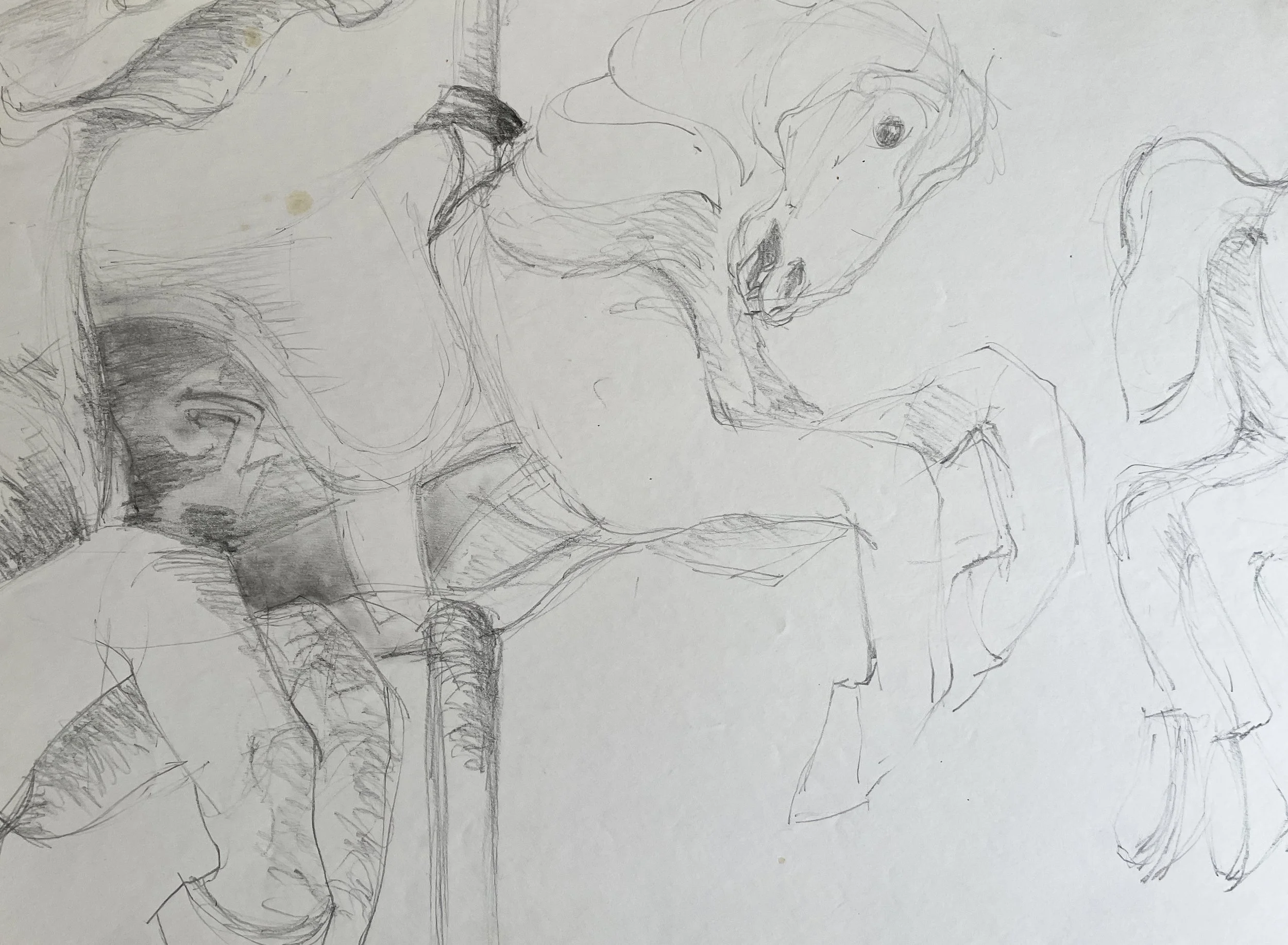  The Gallop 

 

 MEDIUM  : CHARCOAL

 

 DIMENSIONS  : 18" X 22"

 

 PRICE  : $250