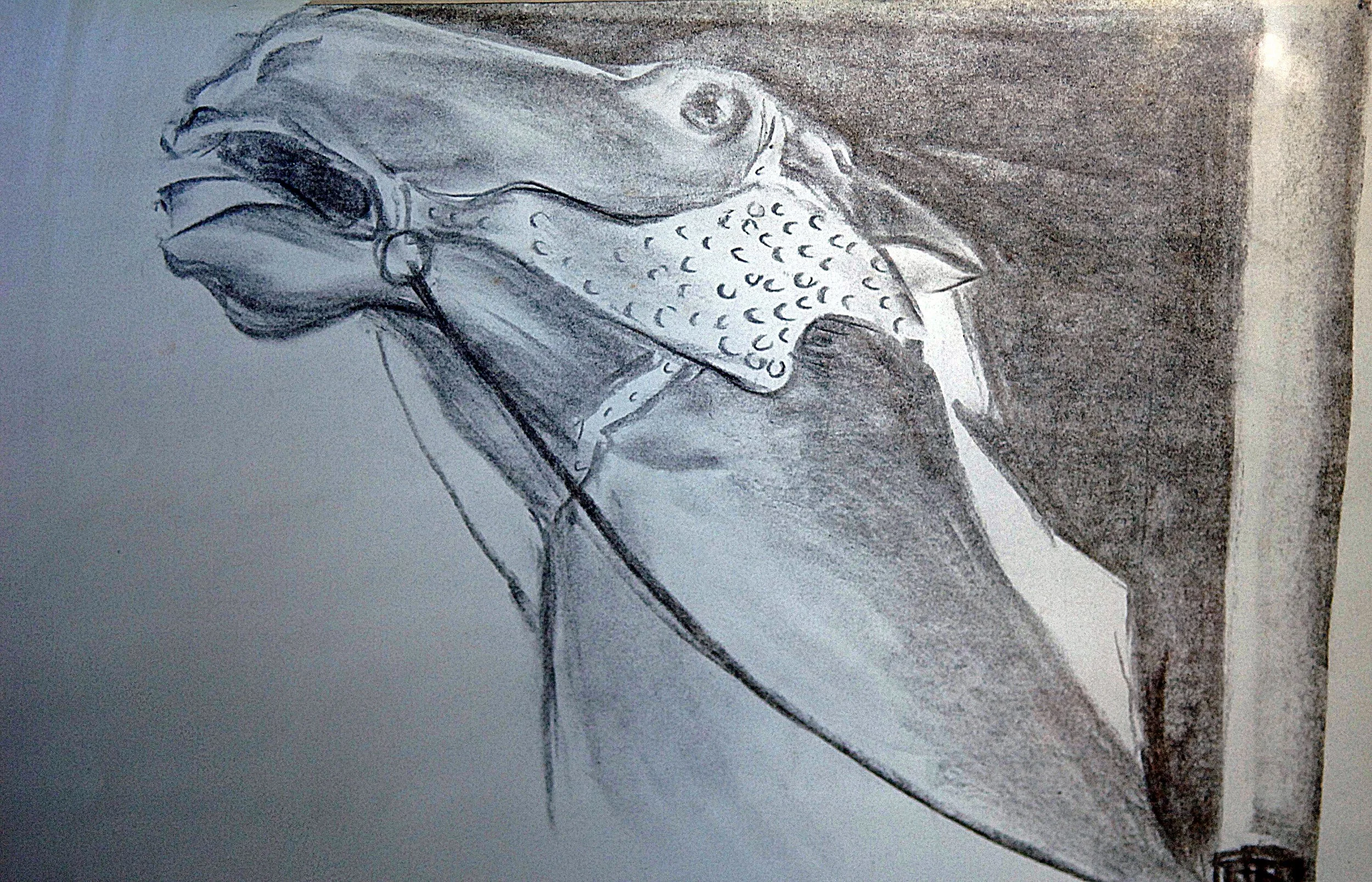  The Rebel Study 

 

 MEDIUM  : Charcoal

 

 PRICE  : PRIVATE COLLECTION 