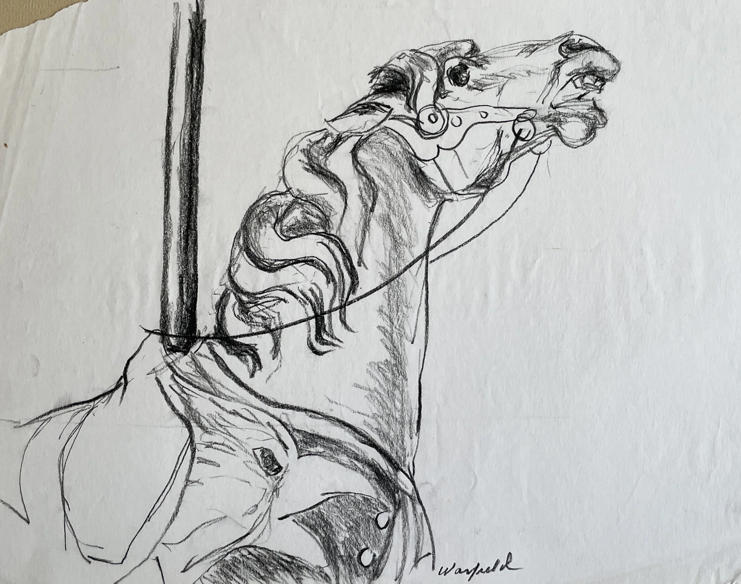  The Mount Study 

 

 MEDIUM  : Charcoal

 

 DIMENSIONS  : 11" X 14"