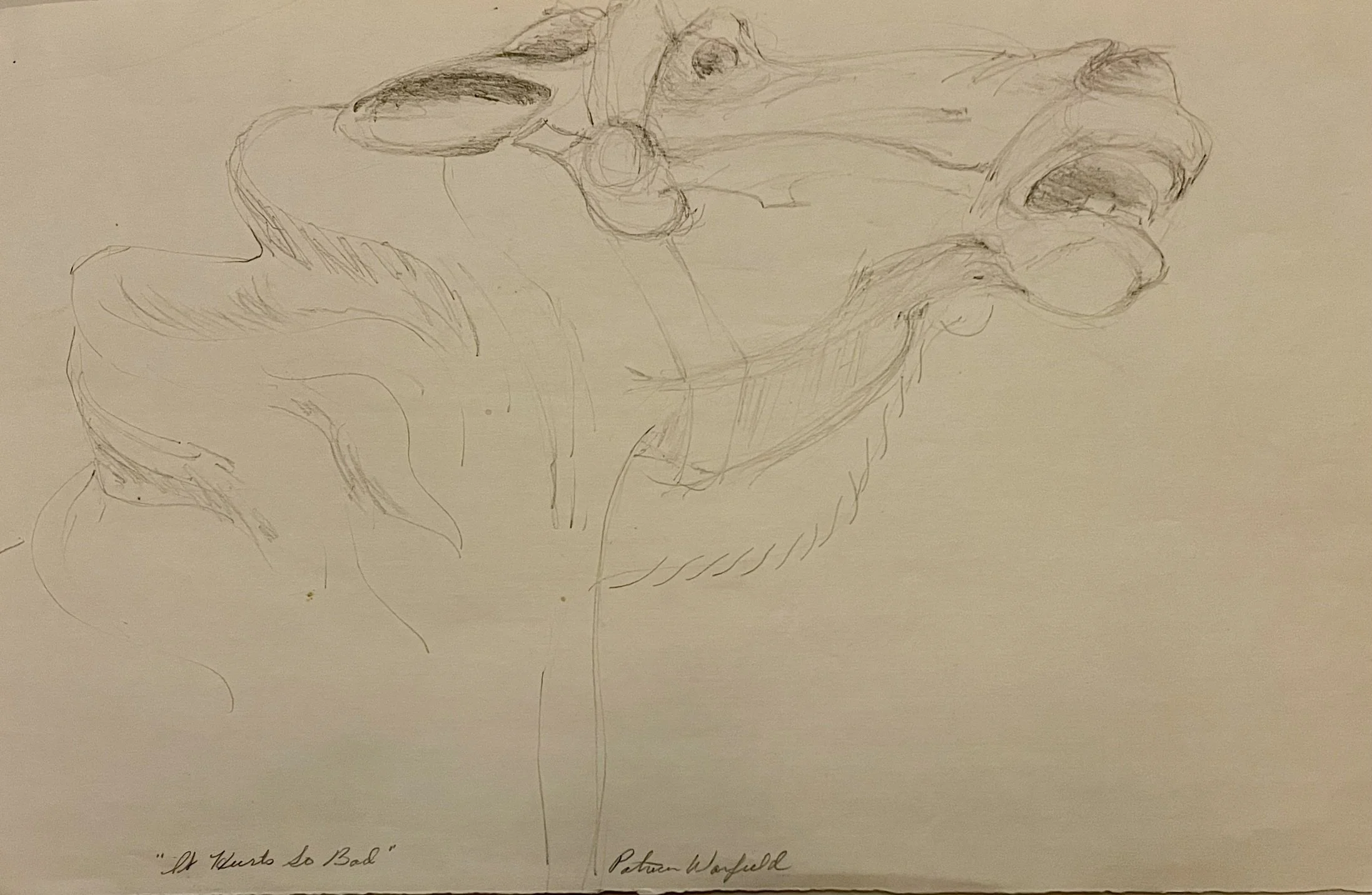  It Hurts So Bad -Rebel Study #3 

 

 MEDIUM  : Charcoal

 

 DIMENSIONS  : 13" X 22"

 

 PRICE  : $350
