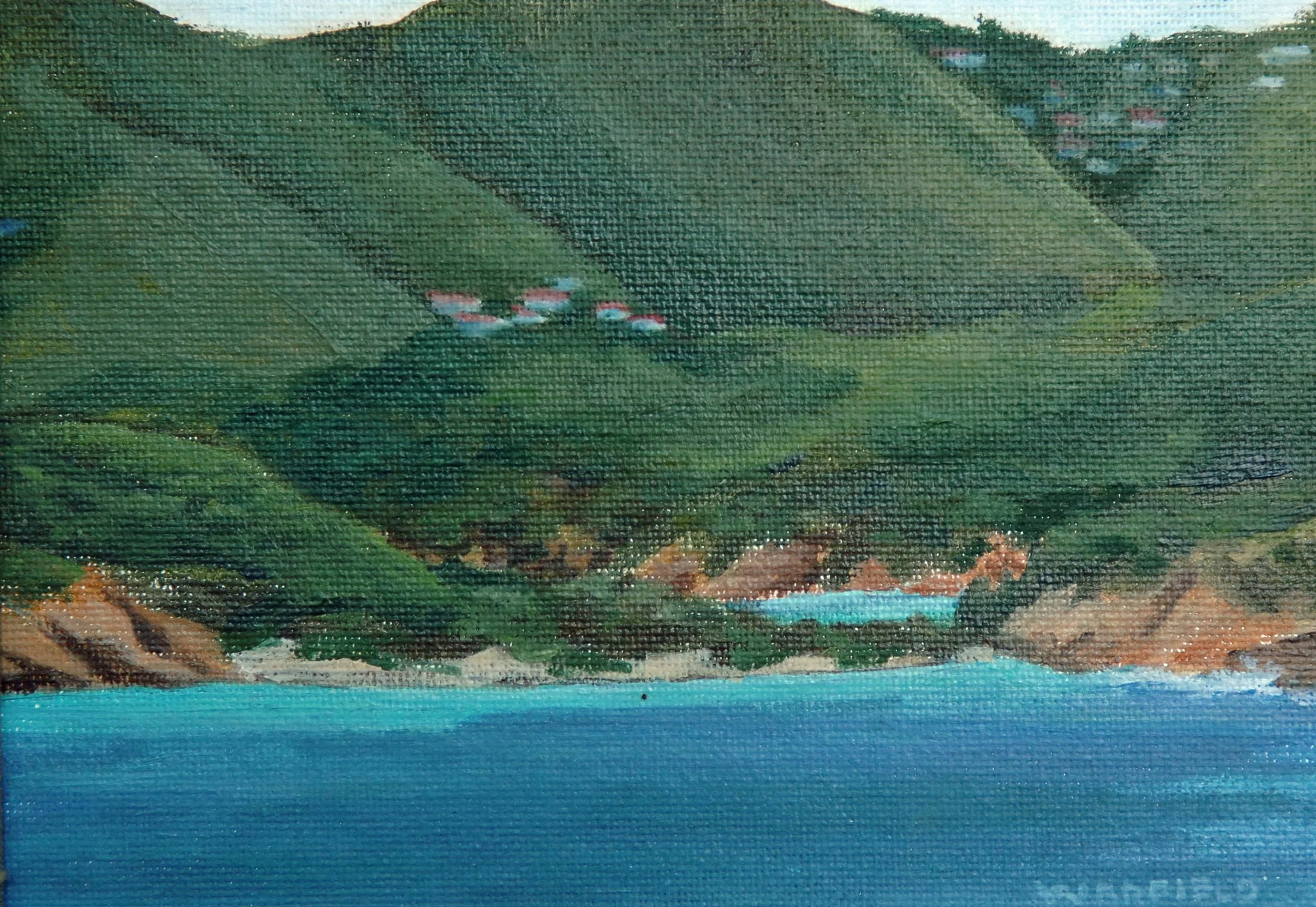  TOPIC  : U.S. Virgin Islands

 

 PAINTING  : View Of Water Island, St. Thomas, U.S. Virgin Islands

 

 MEDIA  : Oil

 

 SIZE  : 4 1/2" X 6"

 

 PRICE  : $350
