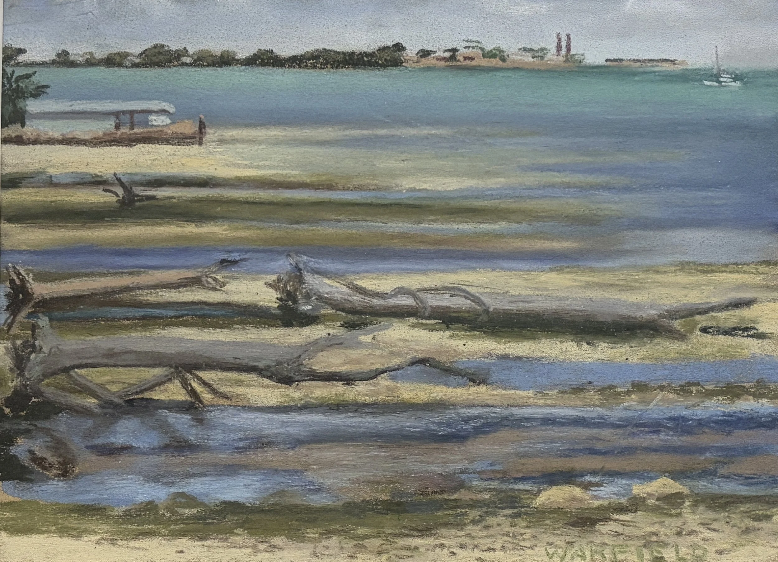  TOPIC  : Florida

 

 PAINTING  : Rainbow Bend, Florida Keys, Fla

 

 MEDIA  : Pastel

 

 SIZE  : 9" X 12"

 

 PRICE  : $550
