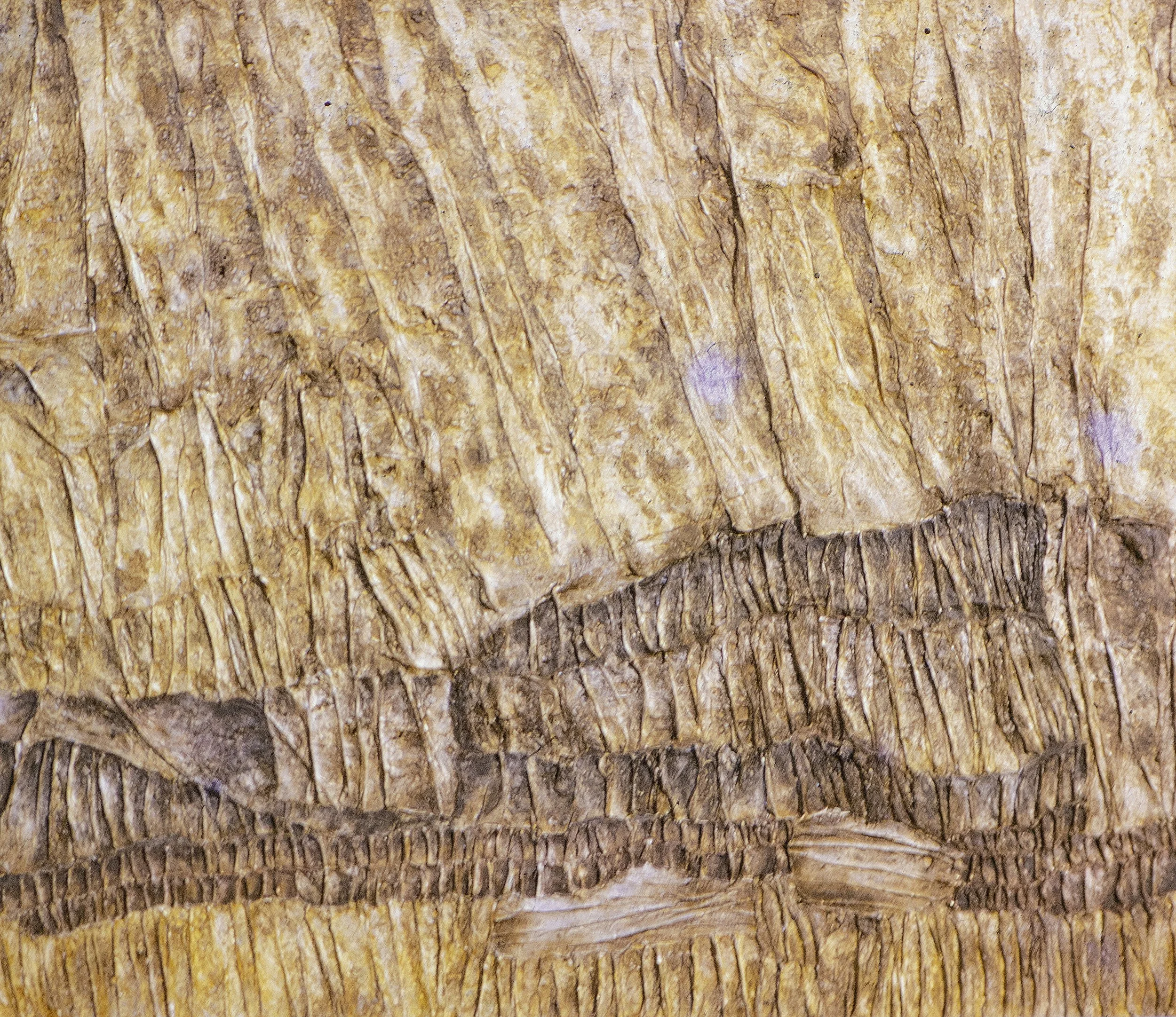  Untitled #10 

 

 MEDIA  : Mylar

 

 SIZE  : 16" X 20"
 

 PRICE  : PRIVATE COLLECTION 