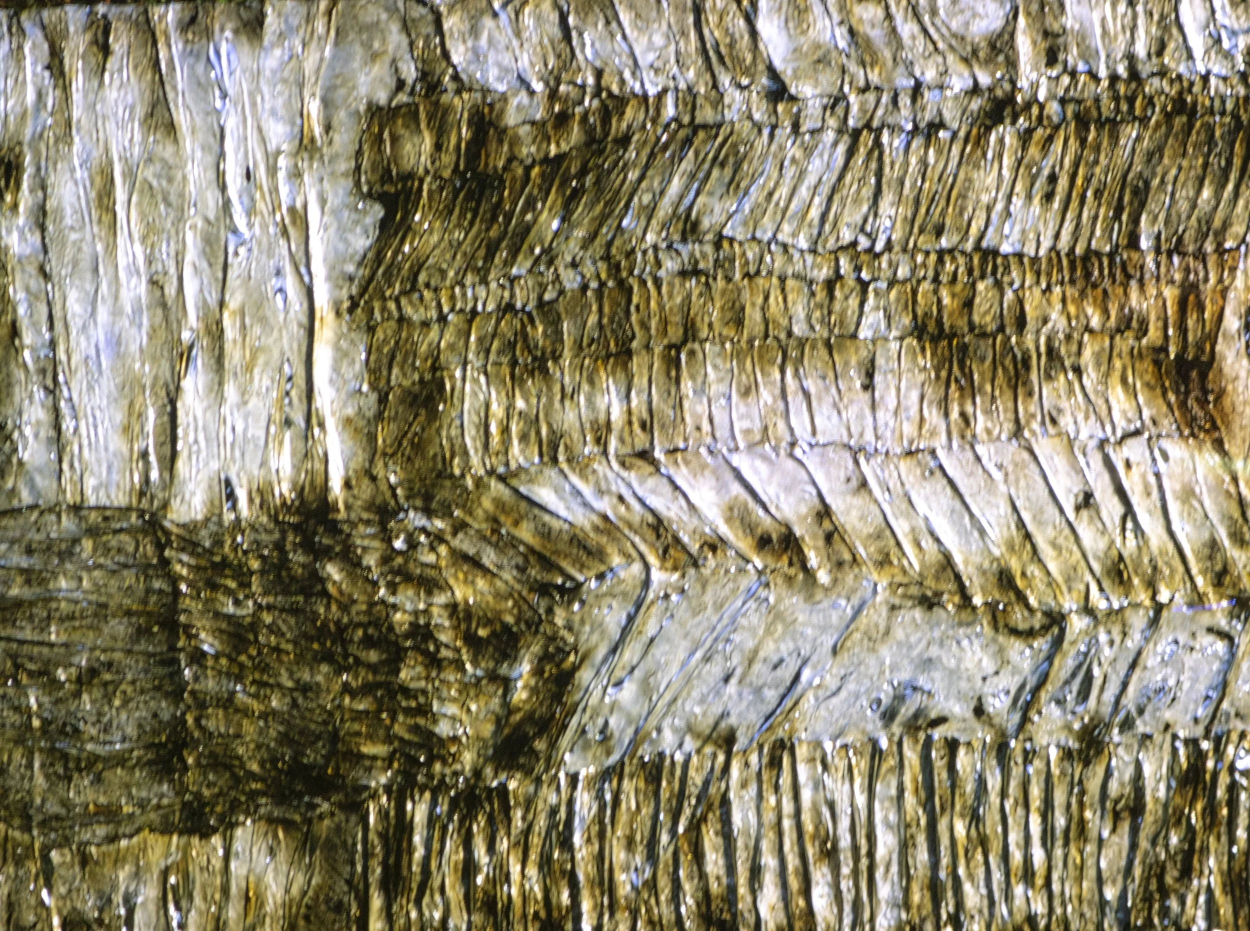  Untitled #11 

 

 MEDIA  : Mylar

 

 SIZE  : 18" X 24"
 

 PRICE  : PRIVATE COLLECTION 
