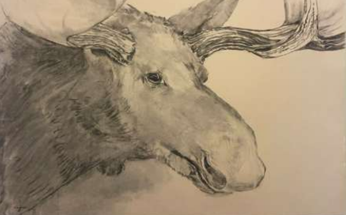  TOPIC  : Trophy

 

 PAINTING  : Moose Study- Right 
Profile #2

 

 MEDIA  :  Charcoal

 

 SIZE  :  23 X 34

 

 PRICE  : $ 700 