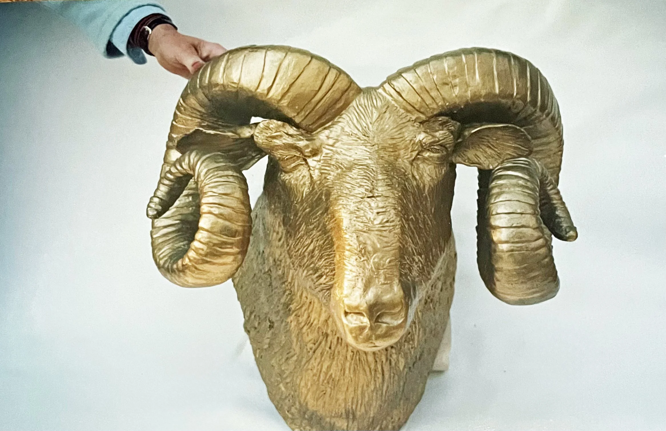  TOPIC  : Trophy

 

 PAINTING  : Big Horn Sheep 
Ramble

 

 MEDIA  :  Bronze (Edition Of 2)

 

 SIZE  :  24" H X 26" W X 20" 
D

 

 PRICE  : $4,500