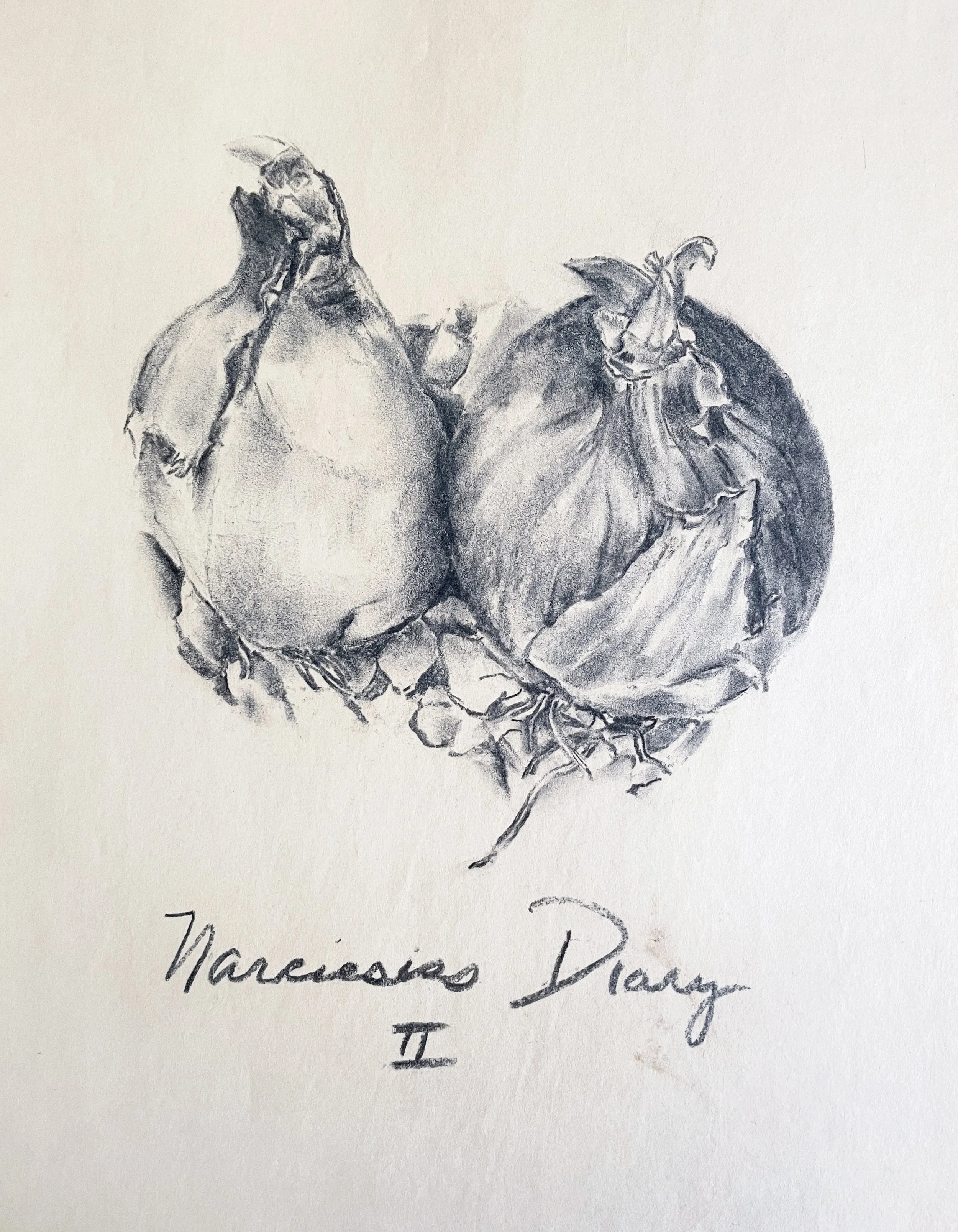  TOPIC  : Flower

 

 PAINTING  : Narcissus Diary II

 

 MEDIA  : Charcoal

 

 SIZE  : 18" X 24"

 

 PRICE  : $250
