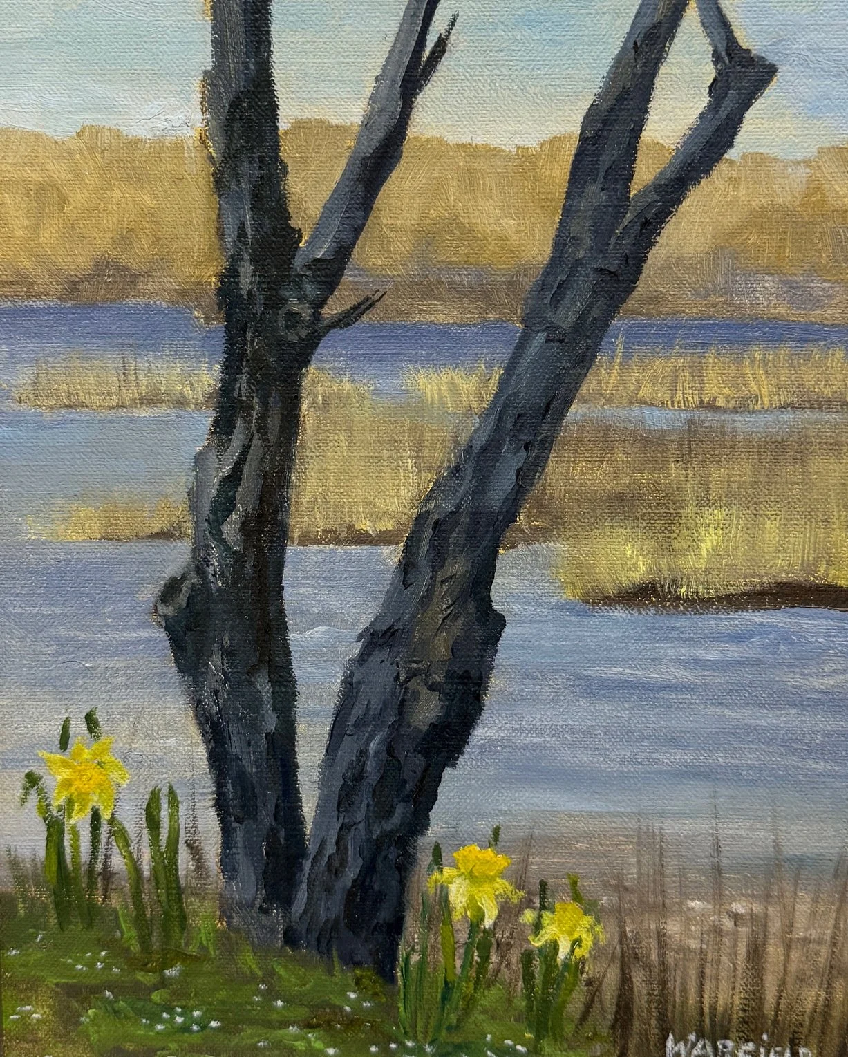  TOPIC  : Flower

 

 PAINTING  : Daffodils In Bloom, Ash Creek, Bridgeport, CT

 

 MEDIA  : Oil On Canvas

 

 SIZE  : 12" X 9"

 

 PRICE  : $550
