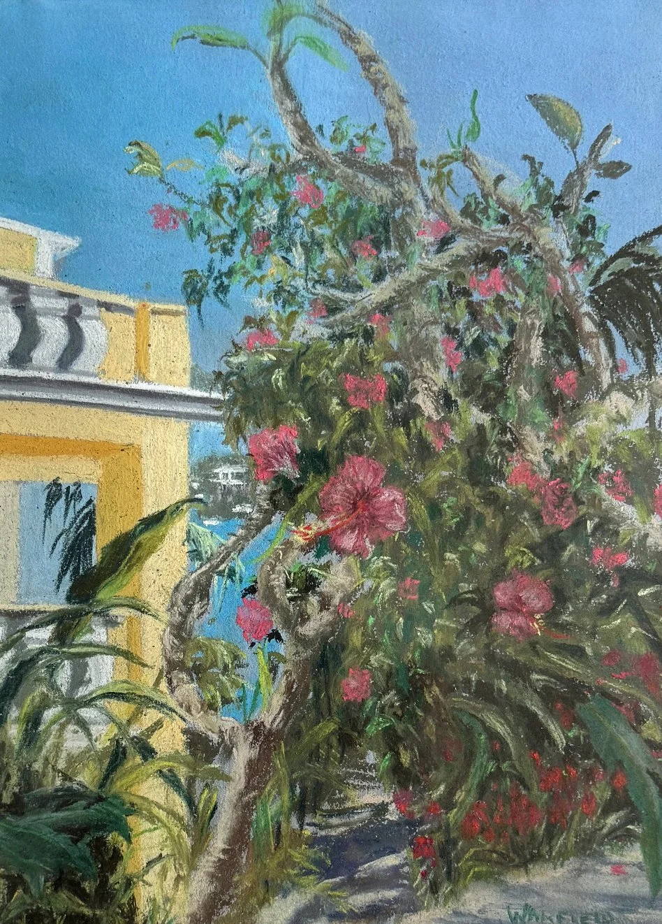  TOPIC  : Bermuda

 

 PAINTING  : Hibiscus, Newstead Hotel, Bermuda

 

 MEDIA  : Pastel

 

 SIZE  : 12" X 9"

 

 PRICE  : $550
