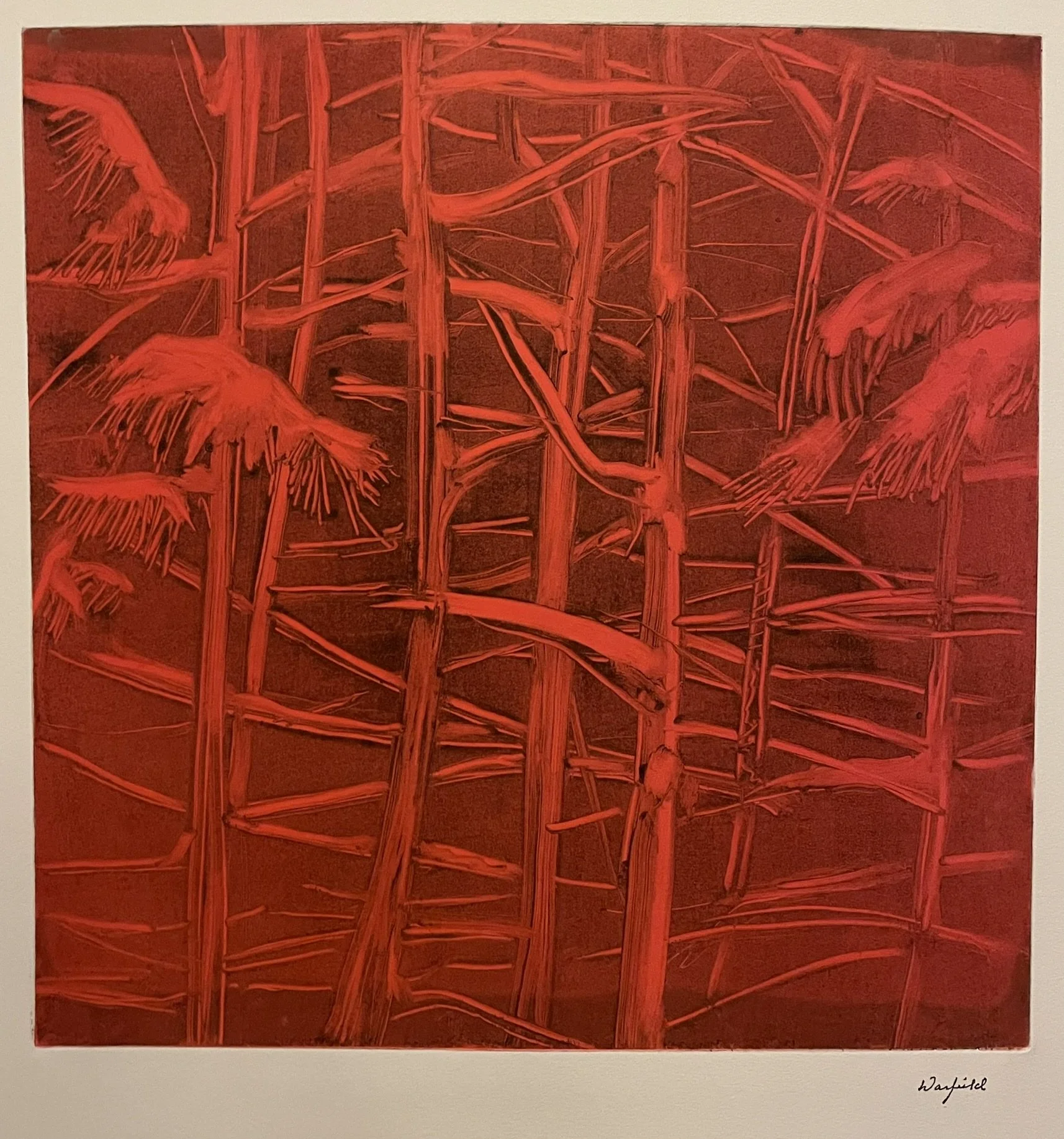  TOPIC  : Bamboo

 

 PAINTING  : Bamboo Bright Red

 

 MEDIA  : Monoprint

 

 SIZE  : 18" X 18"

 

 PRICE  : $750
