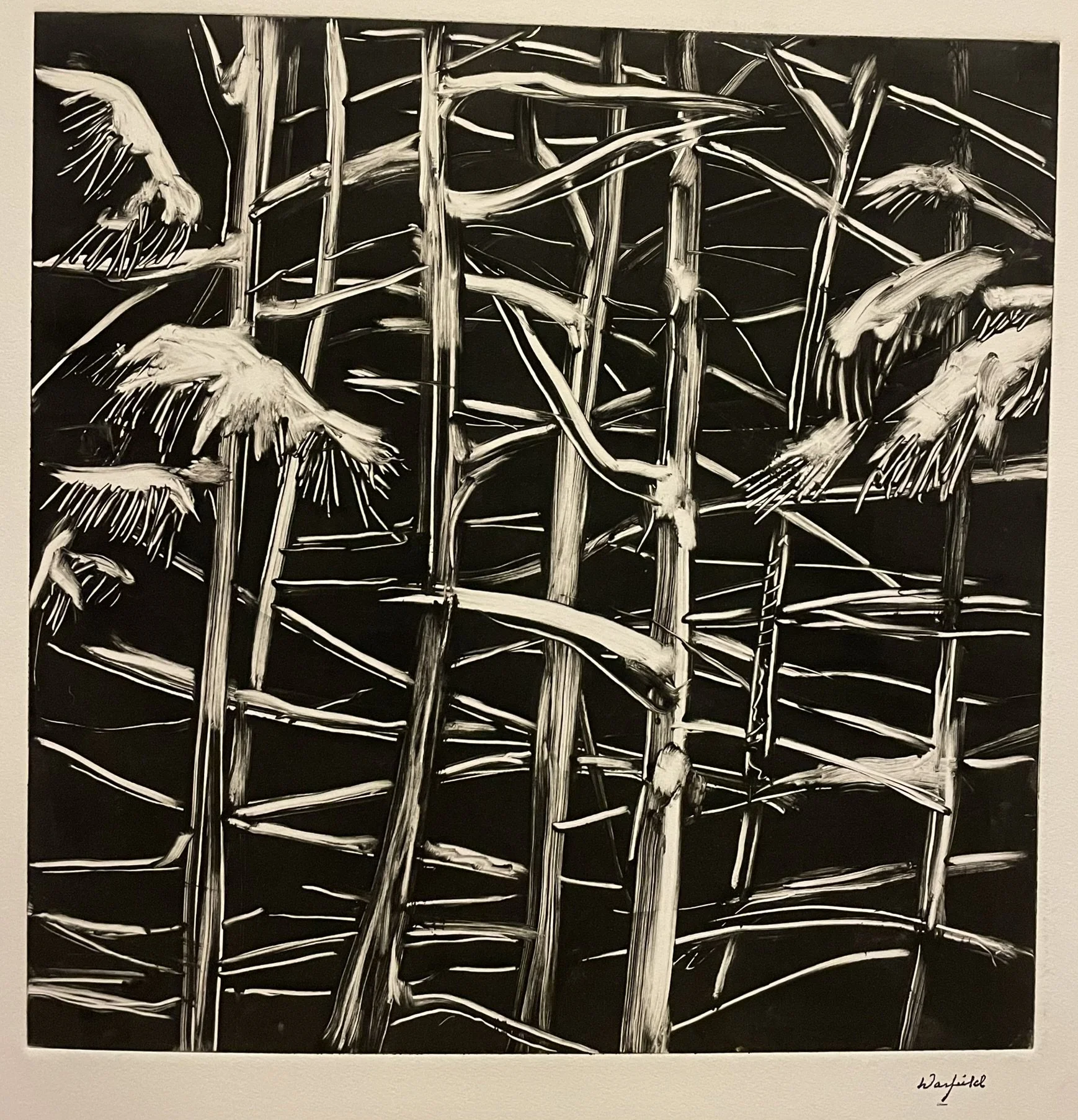  TOPIC  : Bamboo

 

 PAINTING  : Bamboo - B/W

 

 MEDIA  : Monoprint

 

 SIZE  : 18" X 18"

 

 PRICE  : $750
