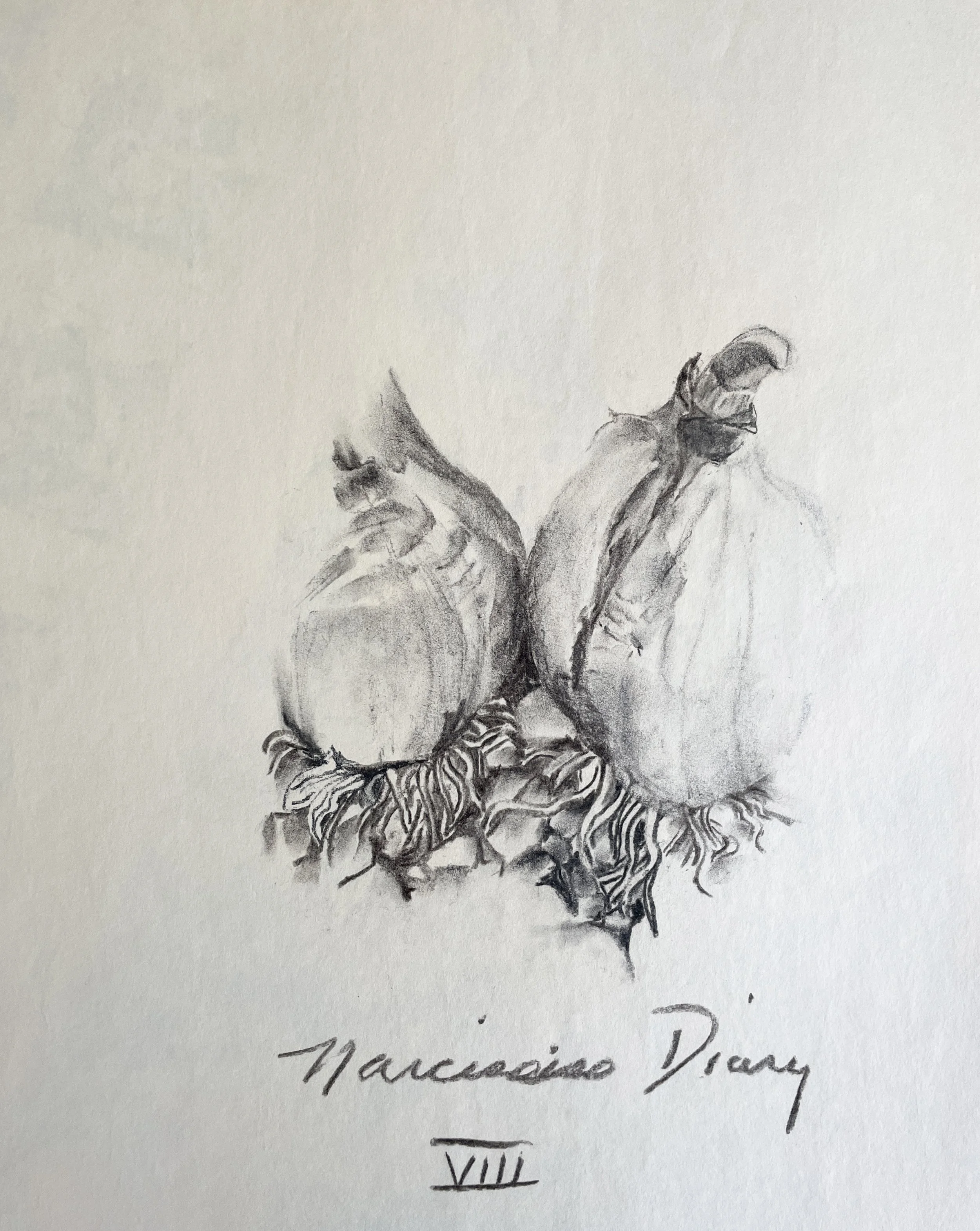  TOPIC  : Flower

 

 PAINTING  : Narcissus Diary XIII

 

 MEDIA  : Charcoal

 

 SIZE  : 18" X 24"

 

 PRICE  : $250
