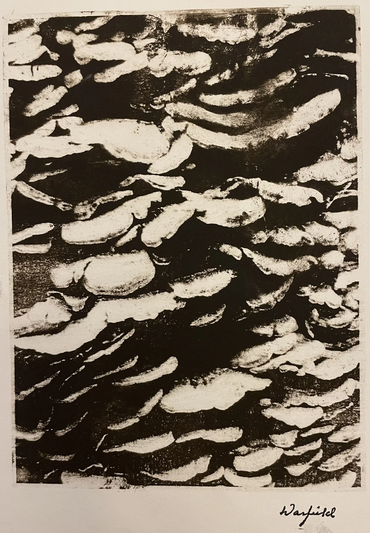  TOPIC  : Nature

 

 PAINTING  : Tree Fungus I

 

 MEDIA  : Monoprint

 

 SIZE  : 11" X 8"

 

 PRICE  : $750
