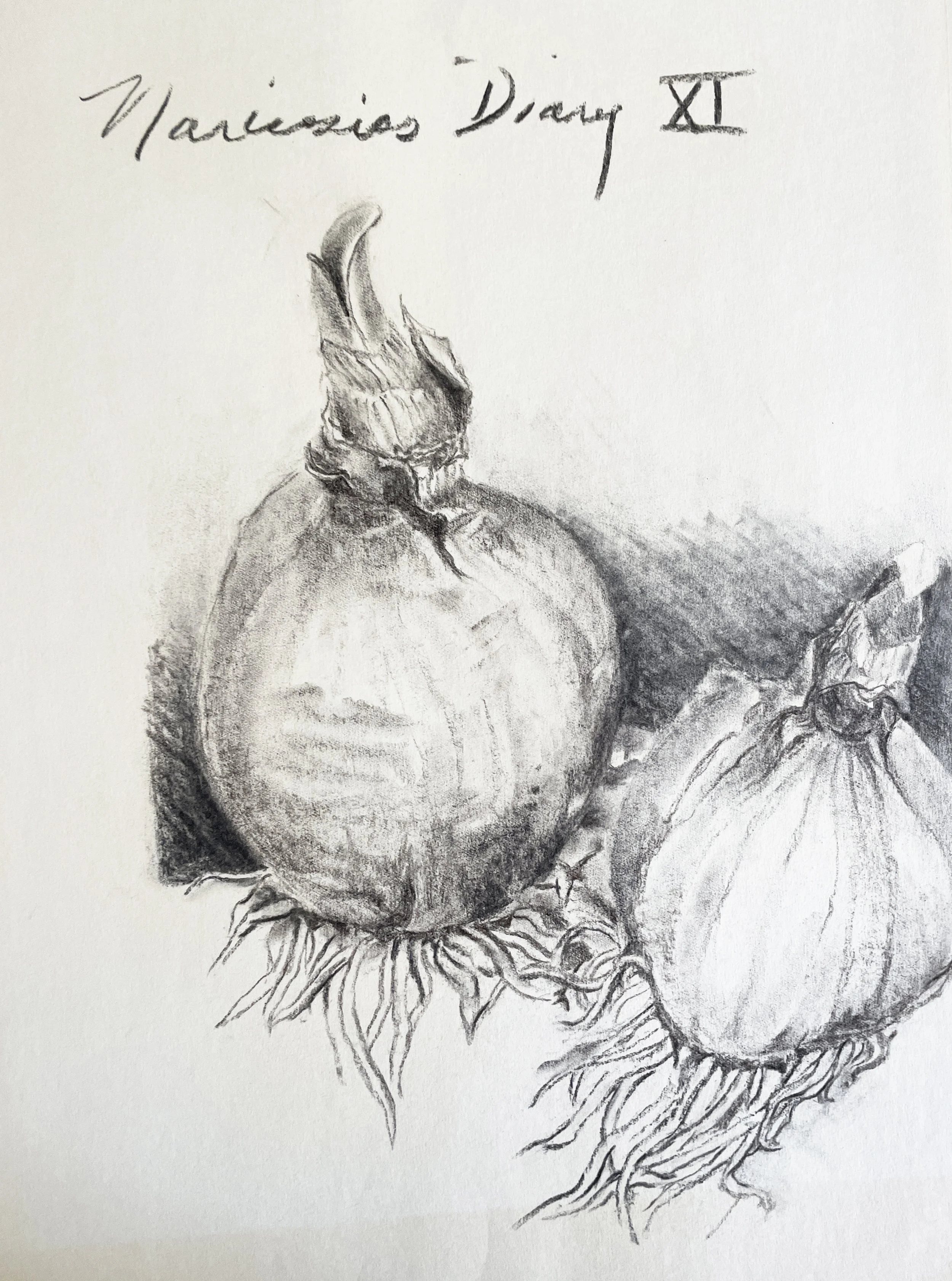  TOPIC  : Flower

 

 PAINTING  : Narcissus Diary XI

 

 MEDIA  : Charcoal

 

 SIZE  : 18" X 24"

 

 PRICE  : $250
