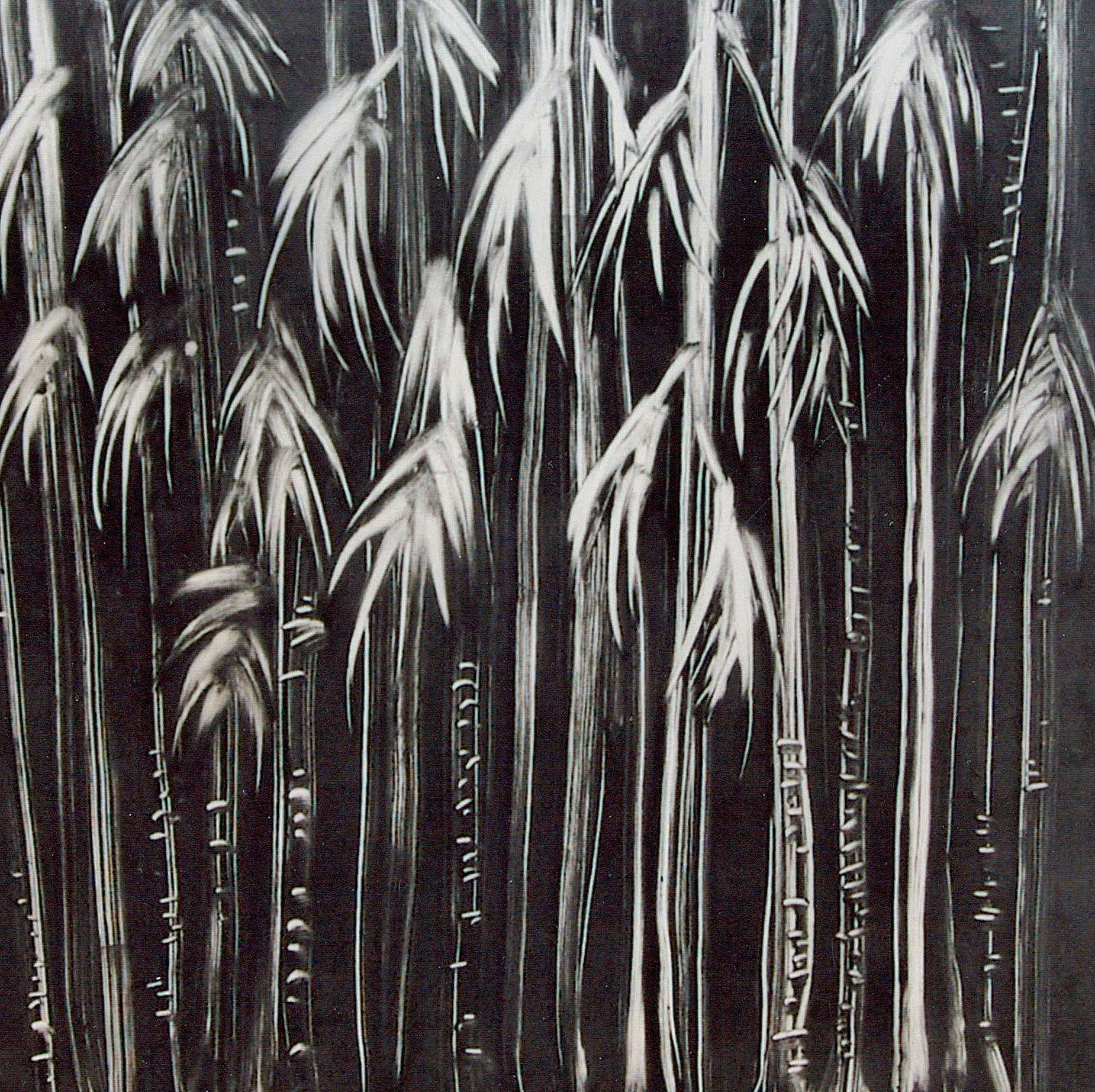  TOPIC  : Bamboo

 

 PAINTING  : Bamboo City

 

 MEDIA  : Monoprint

 

 SIZE  : 18" X 18"

 

 PRICE  : $750
