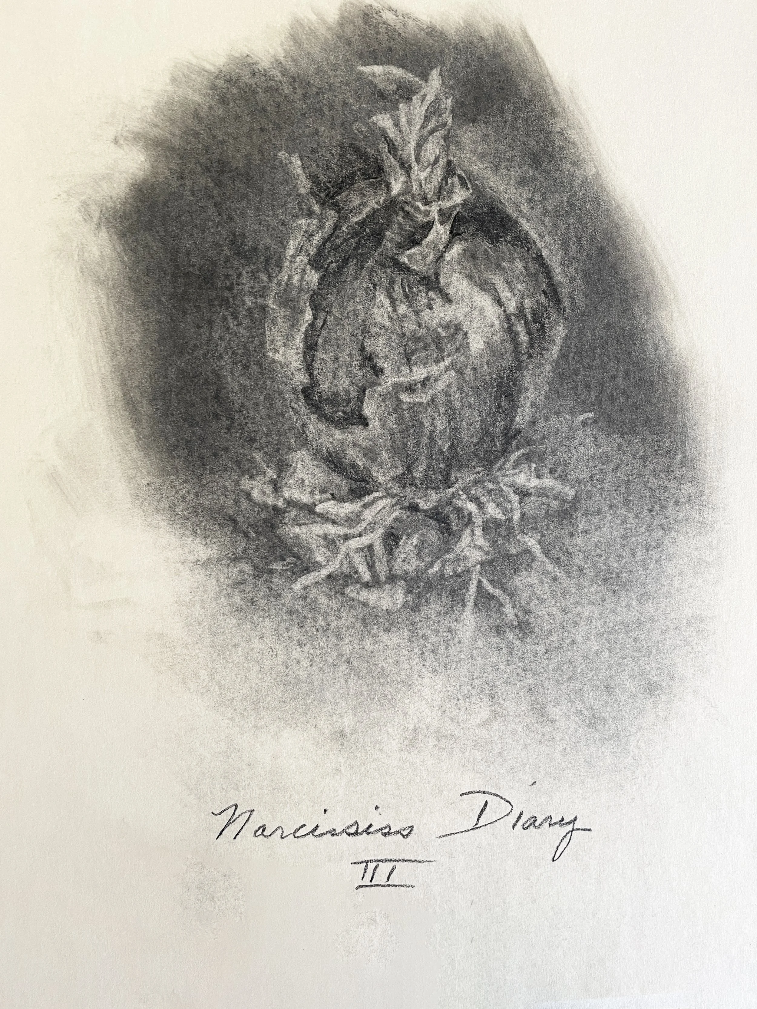  TOPIC  : Flower

 

 PAINTING  : Narcissus Diary III

 

 MEDIA  : Charcoal

 

 SIZE  : 18" X 24"

 

 PRICE  : $250
