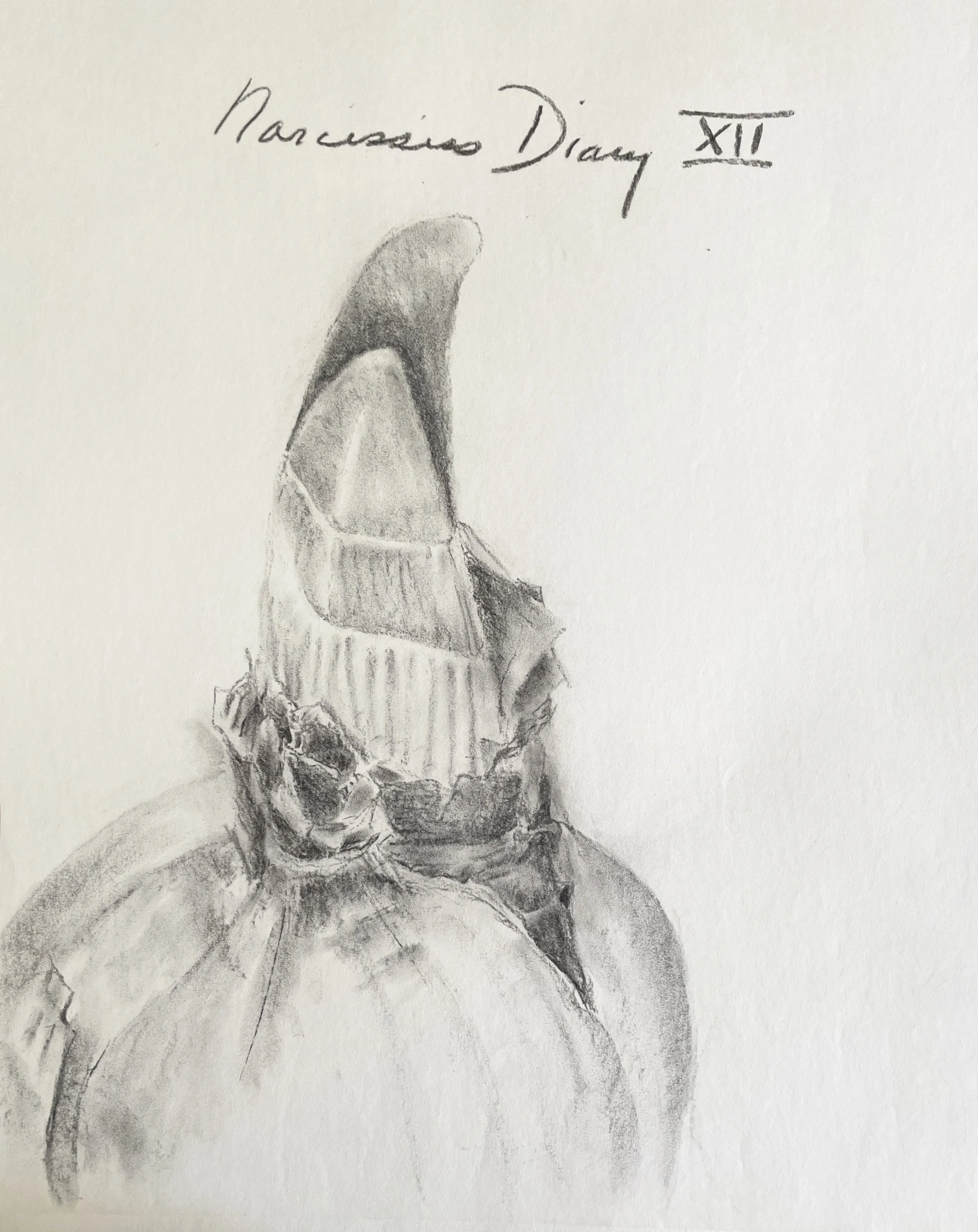  TOPIC  : Flower

 

 PAINTING  : Narcissus Diary XII

 

 MEDIA  : Charcoal

 

 SIZE  : 18" X 24"

 

 PRICE  : $250
