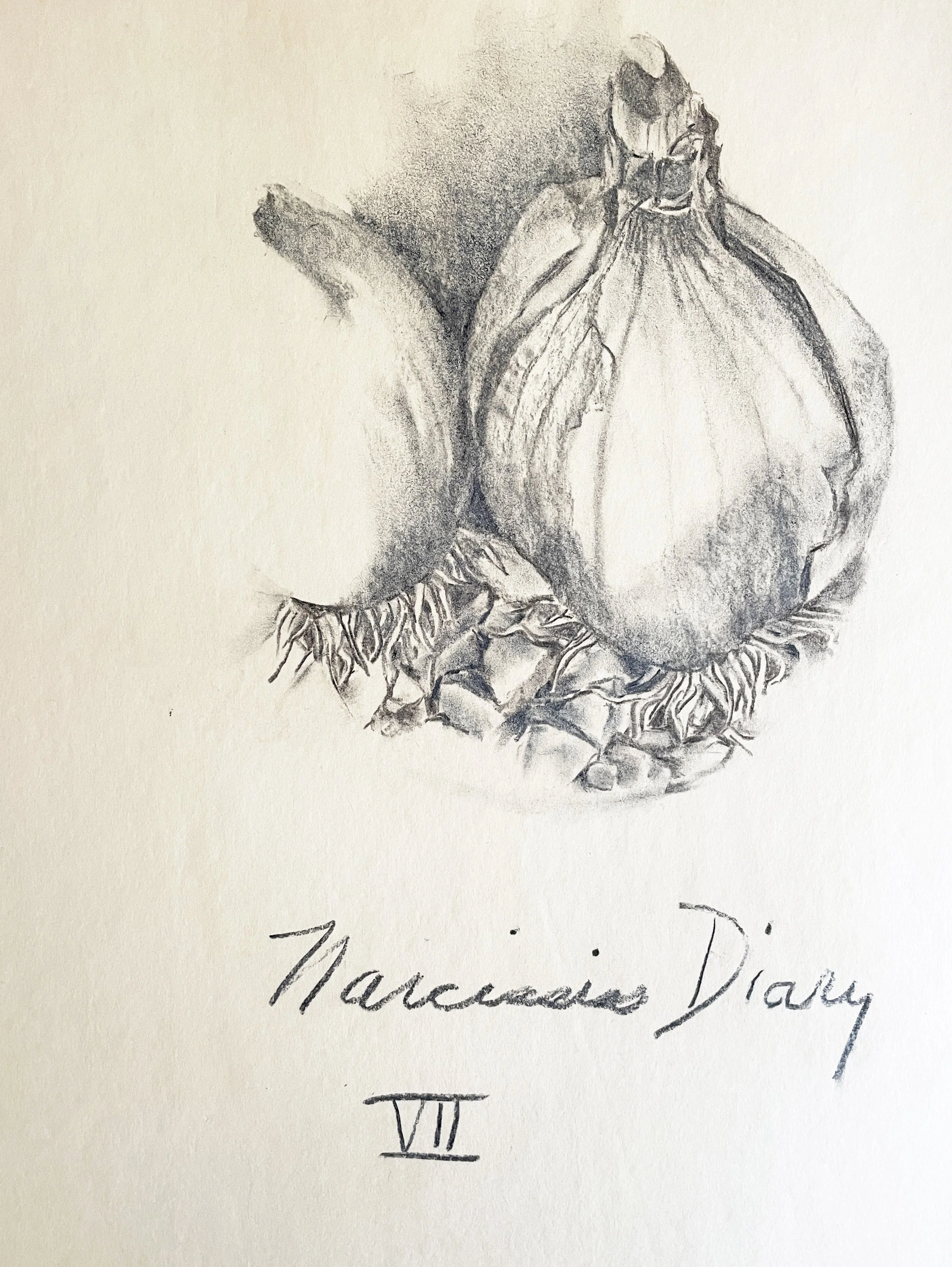  TOPIC  : Flower

 

 PAINTING  : Narcissus Diary VII

 

 MEDIA  : Charcoal

 

 SIZE  : 18" X 24"

 

 PRICE  : $250
