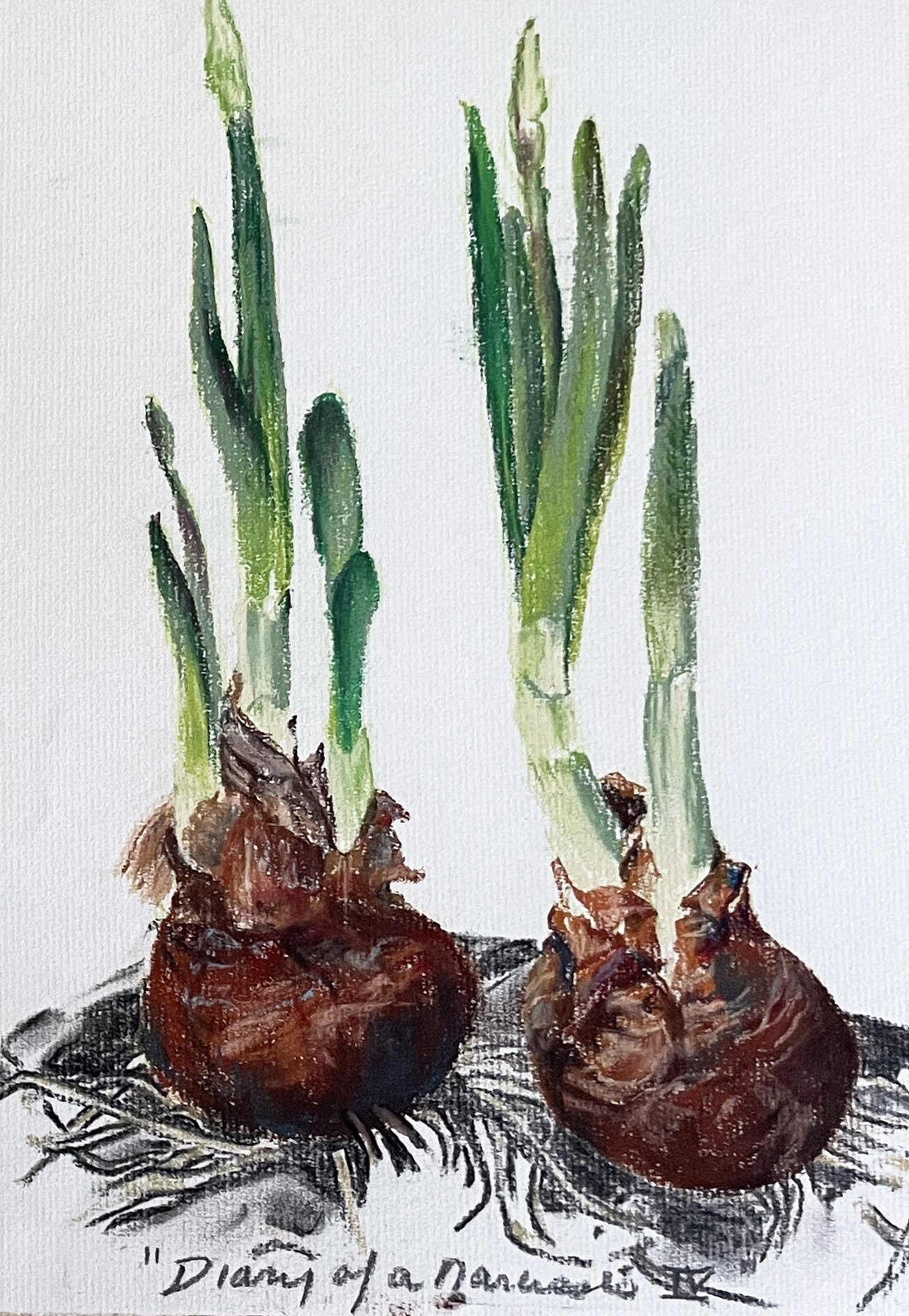  TOPIC  : Flower

 

 PAINTING  : Diary Of A Narcissus IV

 

 MEDIA  : Pastel

 

 SIZE  : 12" X 9"

 

 PRICE  : $350
