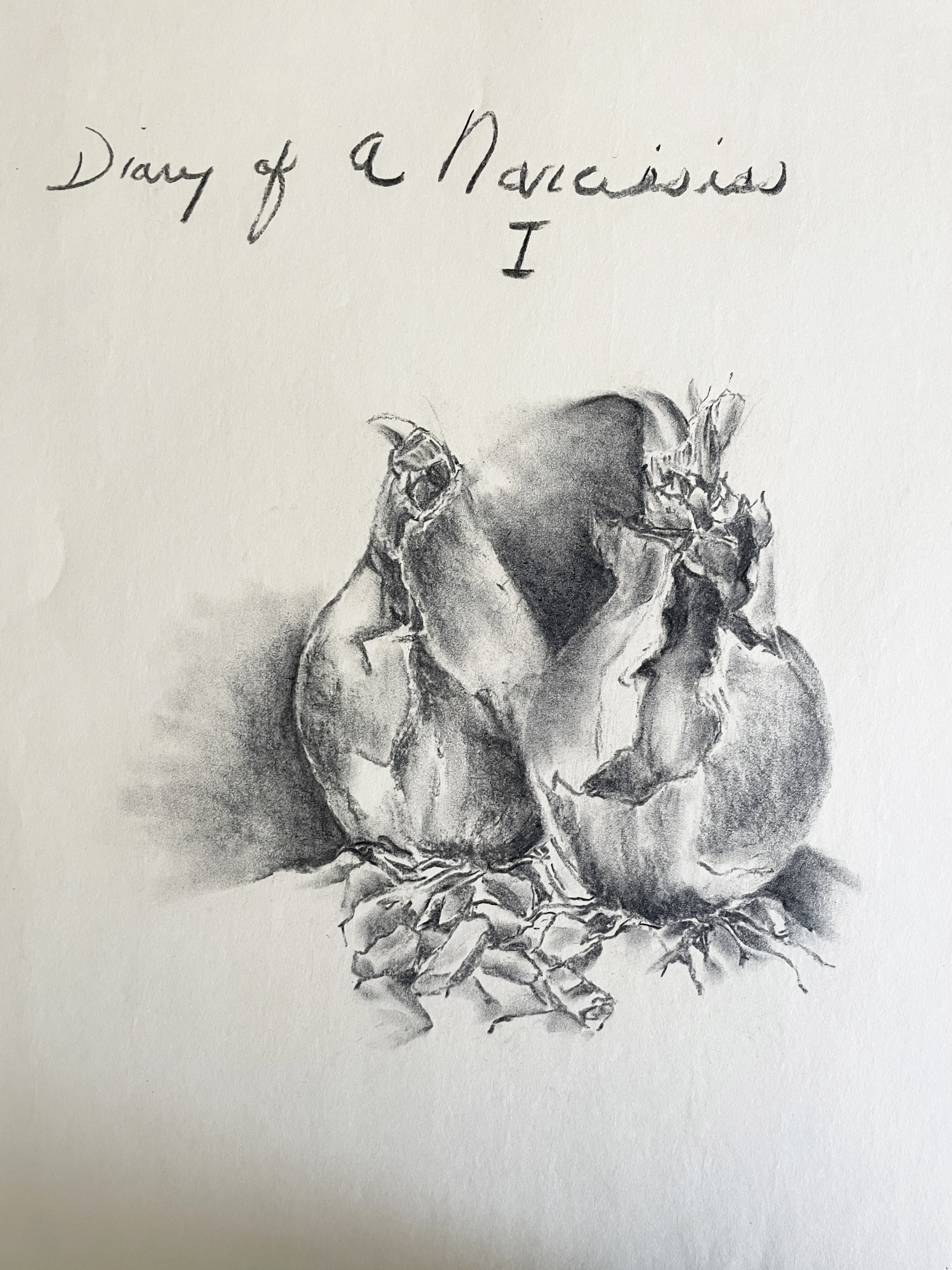  TOPIC  : Flower

 

 PAINTING  : Diary Of A Narcissus I

 

 MEDIA  : Charcoal

 

 SIZE  : 18" X 24"

 

 PRICE  : $250
