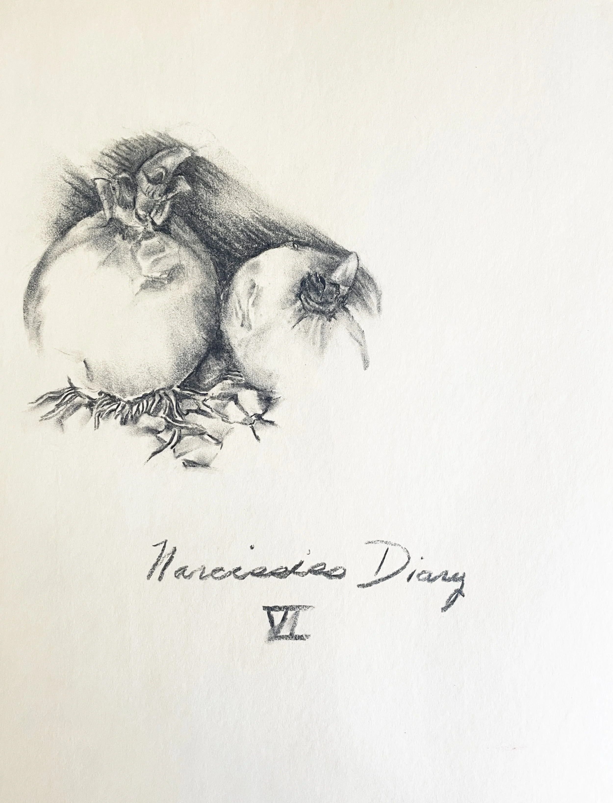  TOPIC  : Flower

 

 PAINTING  : Narcissus Diary VI

 

 MEDIA  : Charcoal

 

 SIZE  : 18" X 24"

 

 PRICE  : $250
