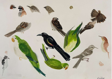  STUDY OF MONK PARROTS 
AND VARIOUS BIRDS - 
STUDY
  

 

 MEDIA  : WATERCOLOR

 

 SIZE  :  14" X 20"
 

 PRICE  : $ 200 