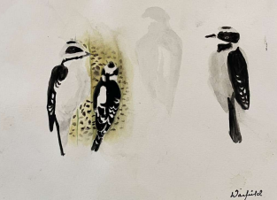  STUDY- DOWNY WOODPECKER STUDY  

 

 MEDIA  : WATERCOLOR

 

 SIZE  : 9" X 12"

 

 PRICE  : $ 150 