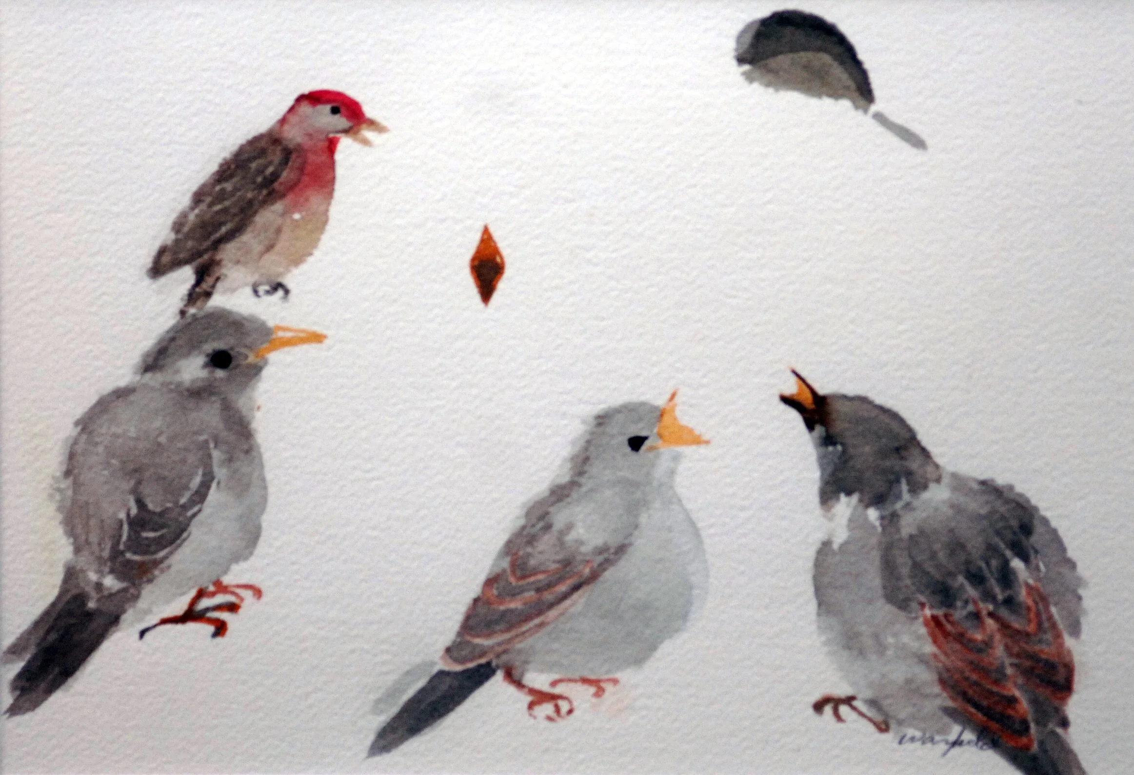  STUDY OF THREE 
BABY BIRDS, AND A 
SPARROW 

 

 MEDIA  : WATERCOLOR

 

 SIZE  : 7" X 9"

 

 PRICE  : PRIVATE COLLECTION  
