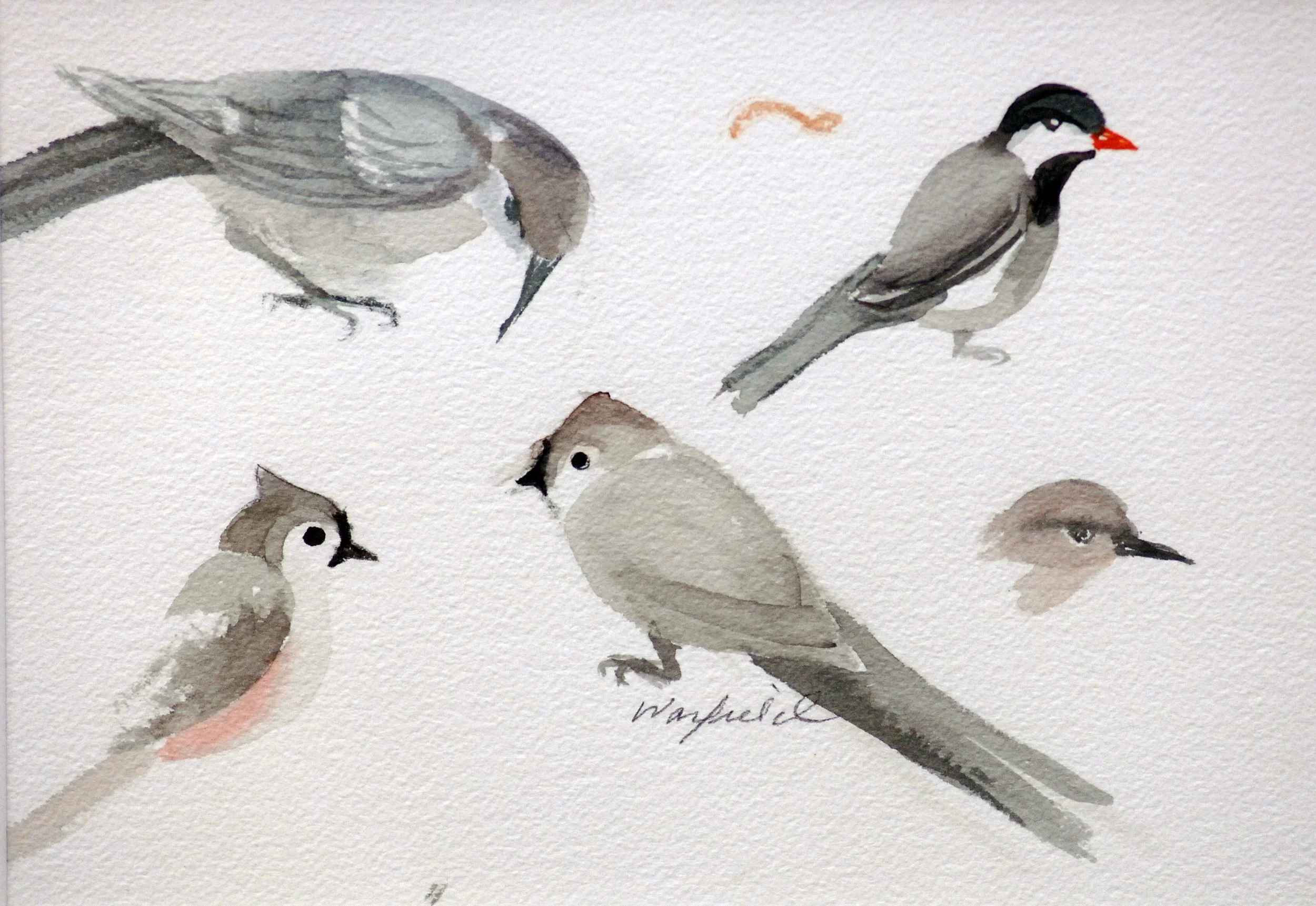  STUDY OF TWO 
TUFTED TITMOUSE, 
JAVA SPARROW, AND 
NUTHATCH BIRDS
  

 

 MEDIA  : WATERCOLOR

 

 SIZE  :  7" X 9"
 

 PRICE  : $ 150 