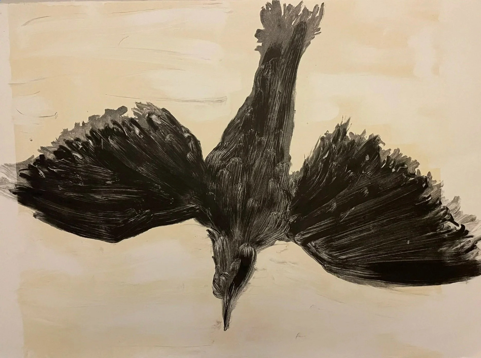  TOPIC  : Flight #1

 

 MEDIA  : Monoprint

 

 SIZE  : 21" x 29"

 

 PRICE  : $550