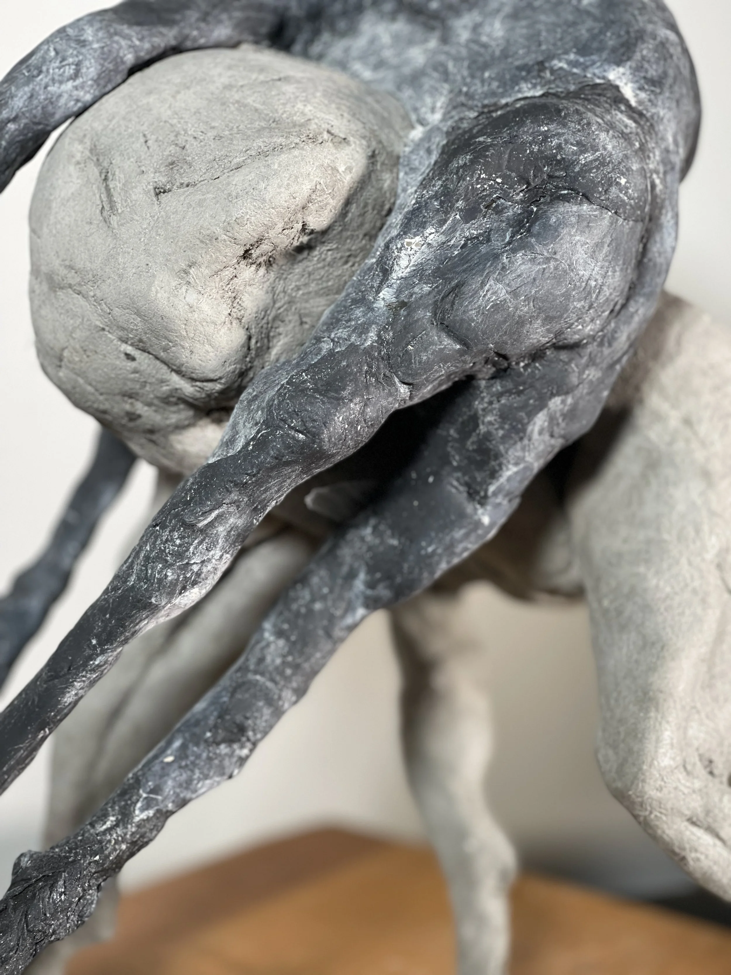 E: Carry me to water II detail.jpeg