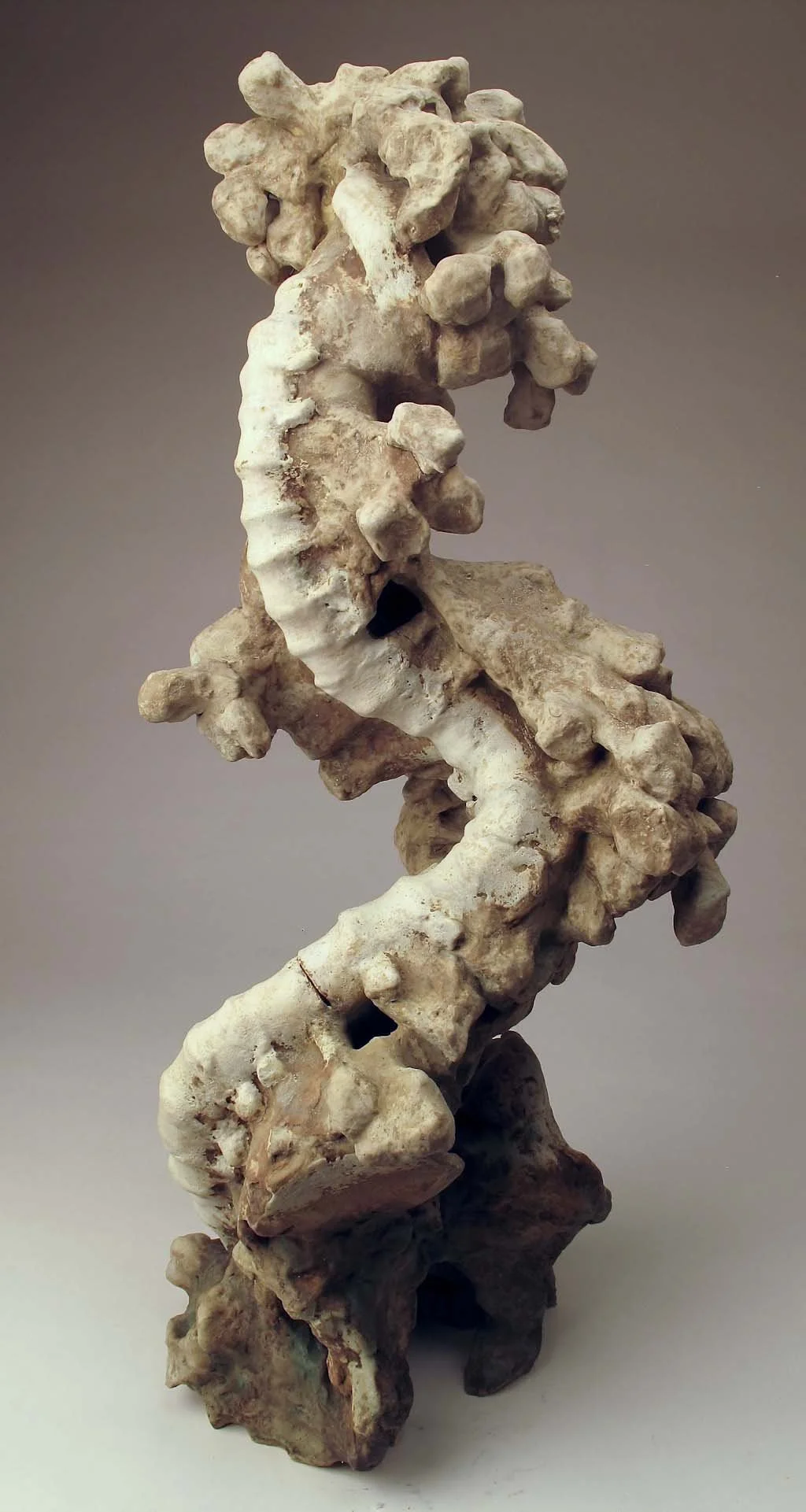 P: Internal Structure 1.JPG