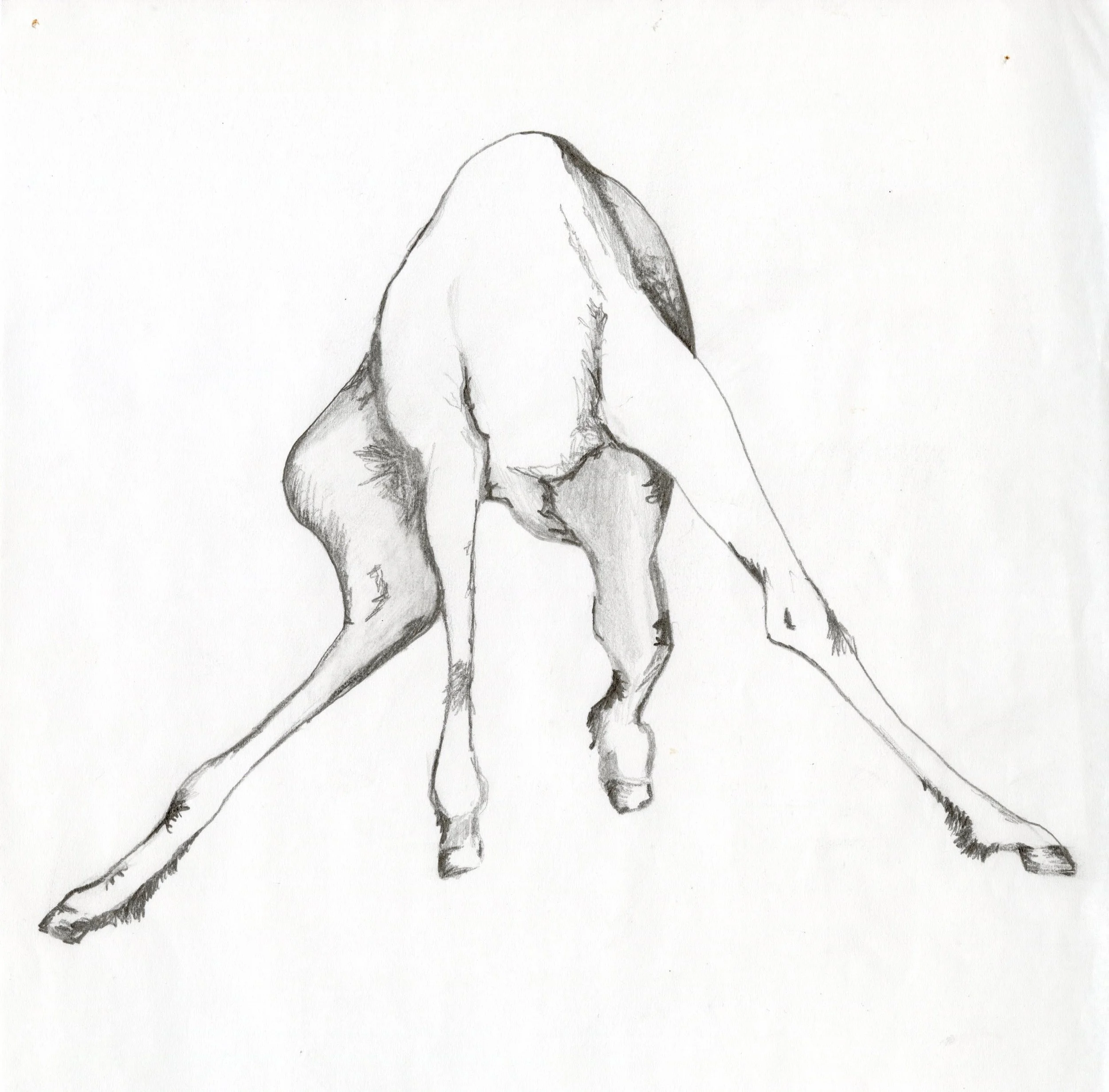  Toddler,  graphite on paper  
7" x 7"
