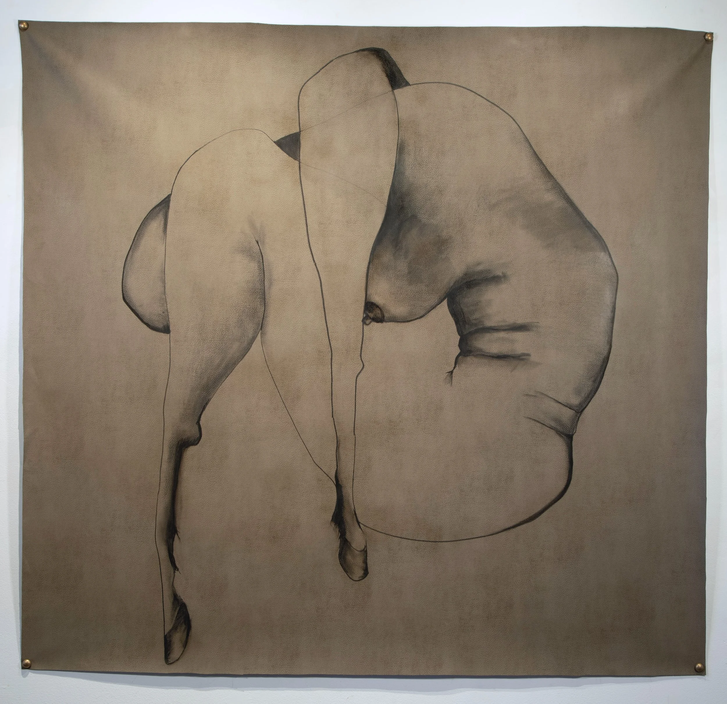  Gentle Drop in Black  
Charcoal 
56" x 56"