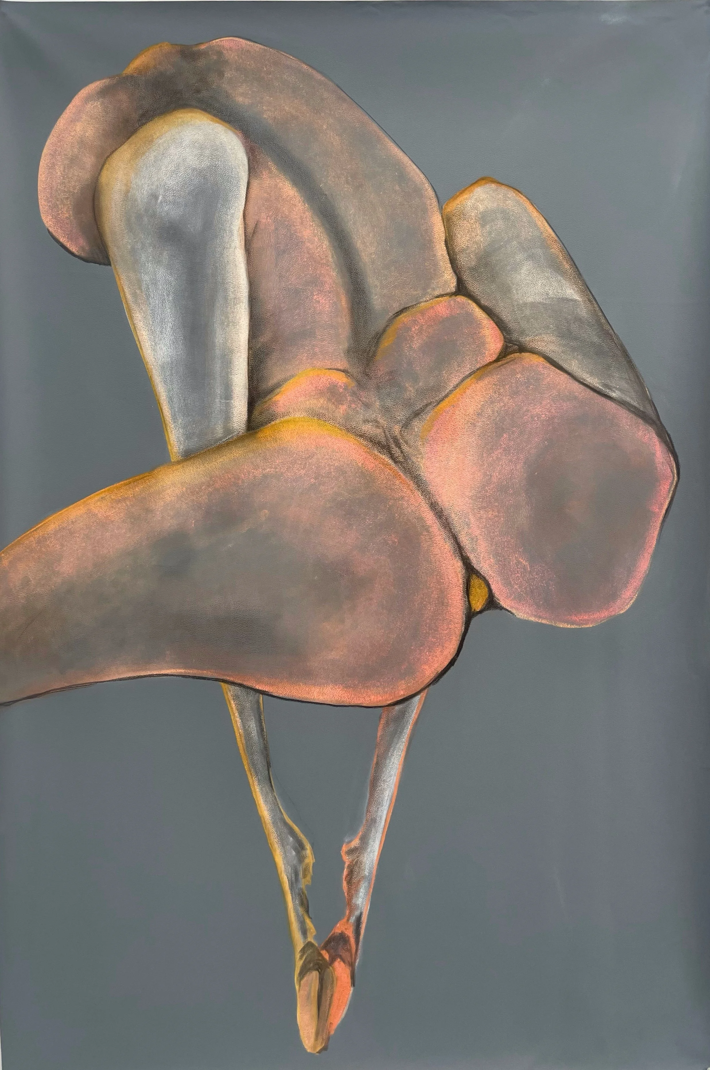  Bareback in Coral and Grey 