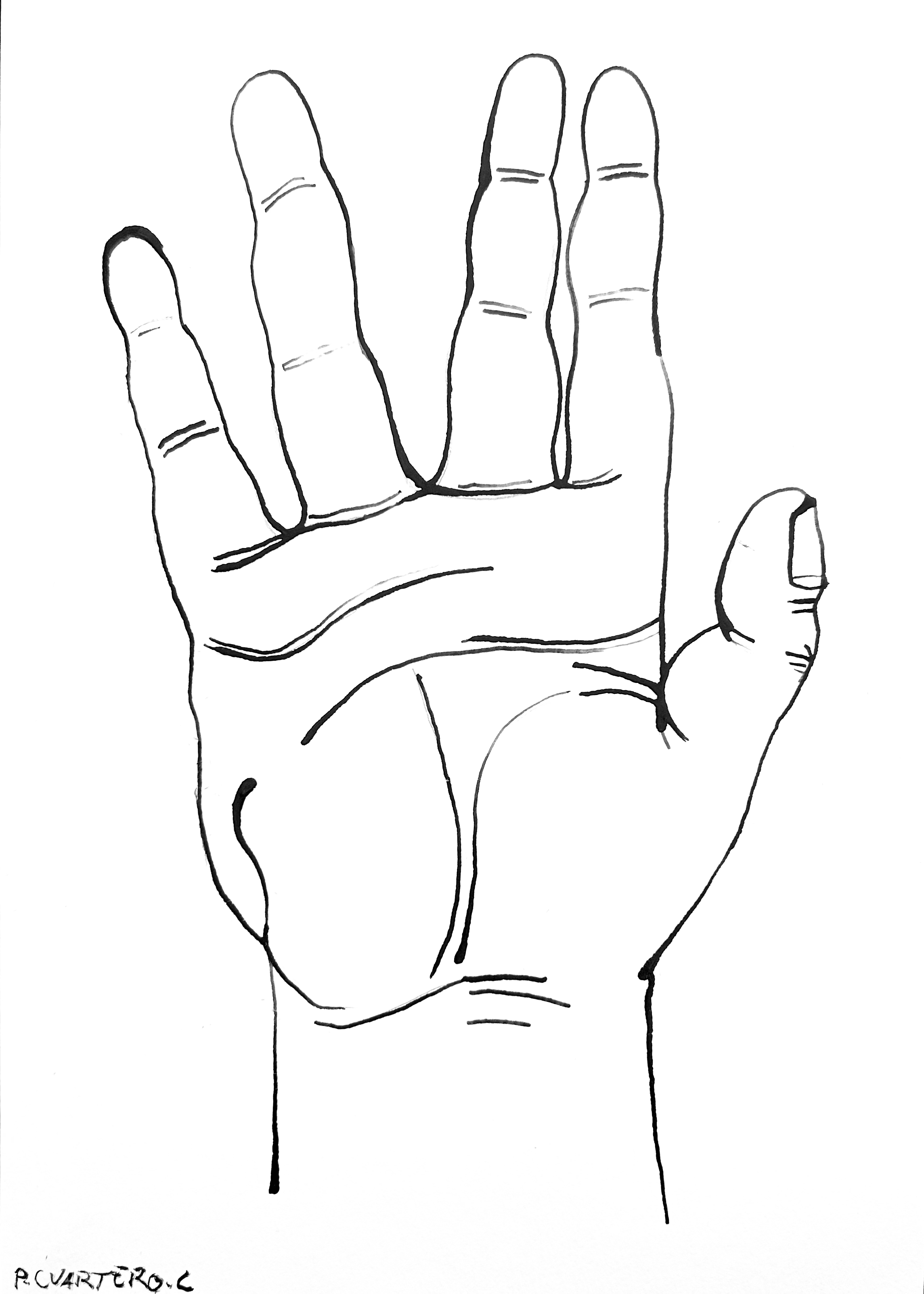 Mano. Ink on paper. 21x29,7cm. 2026