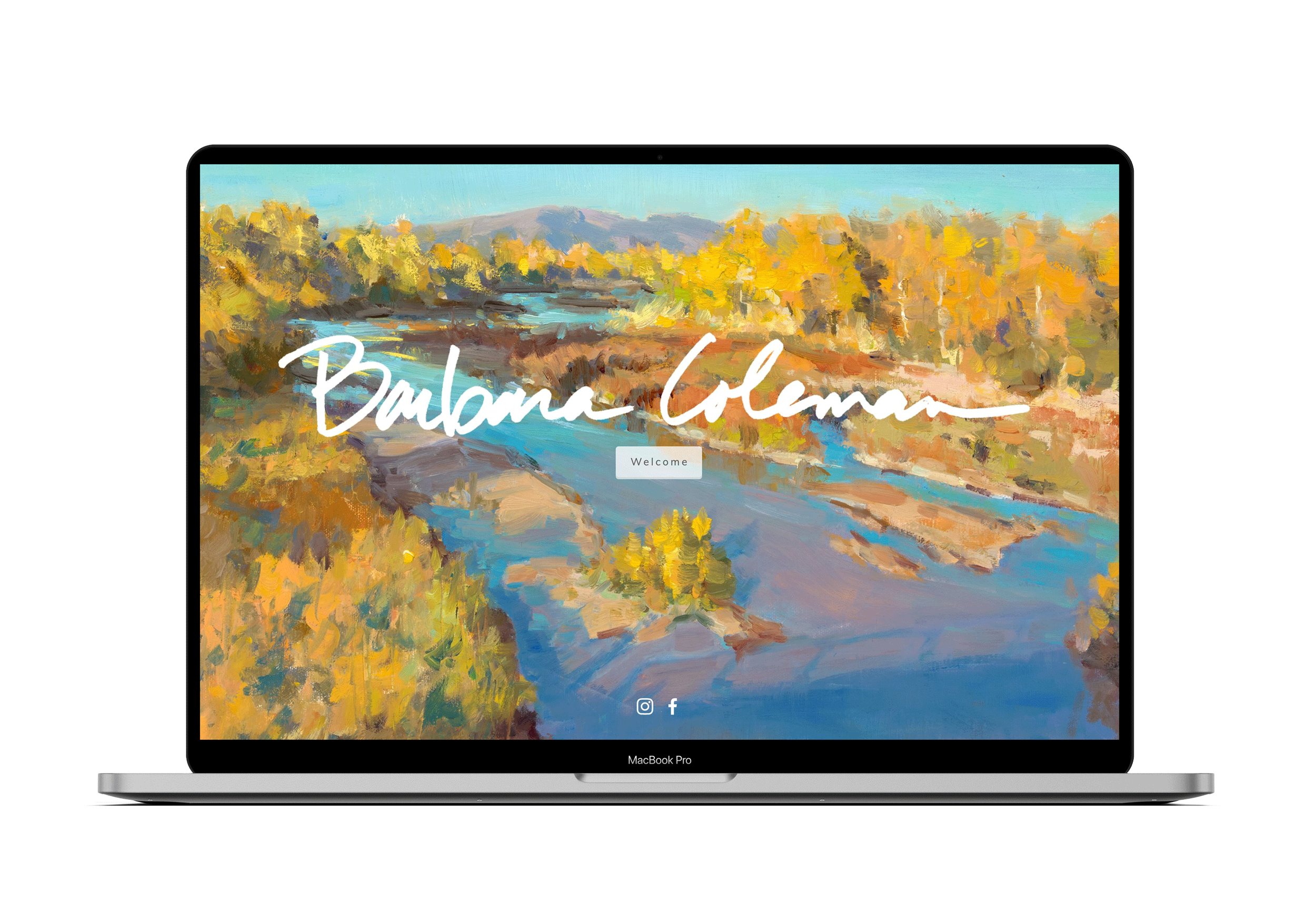 Laptop screen of barbara coleman artist website