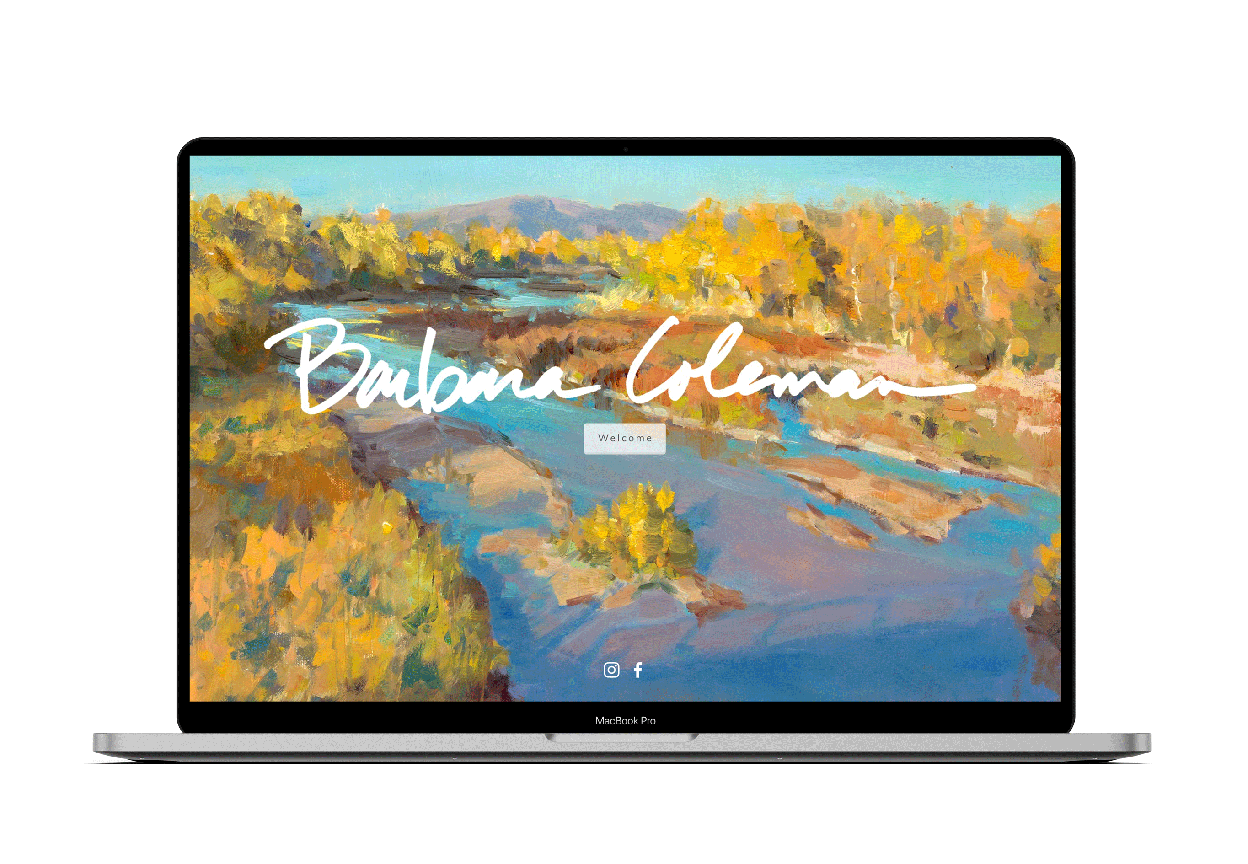 Artist website on laptop screen for artist barbara coleman of painted river