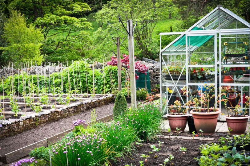 Large garden with glass greenhouse and rows of vegetables