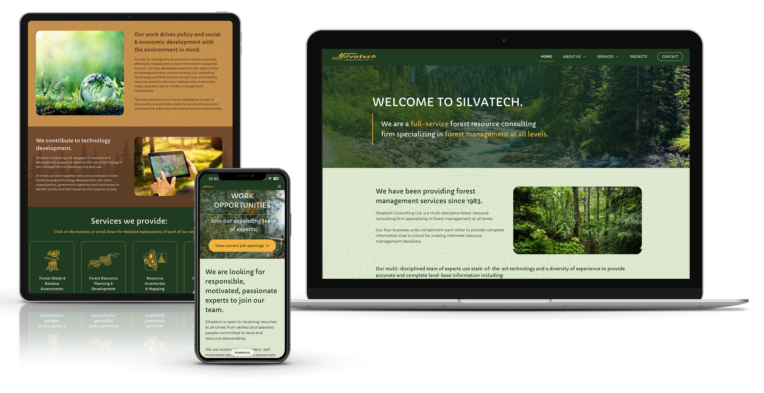 Website  /  Silvatech