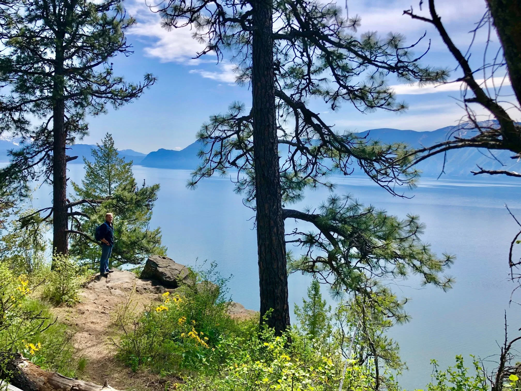 A person standing on a rocky trail surrounded by trees overlooking a large body of water and distant mountains under a partly cloudy sky.