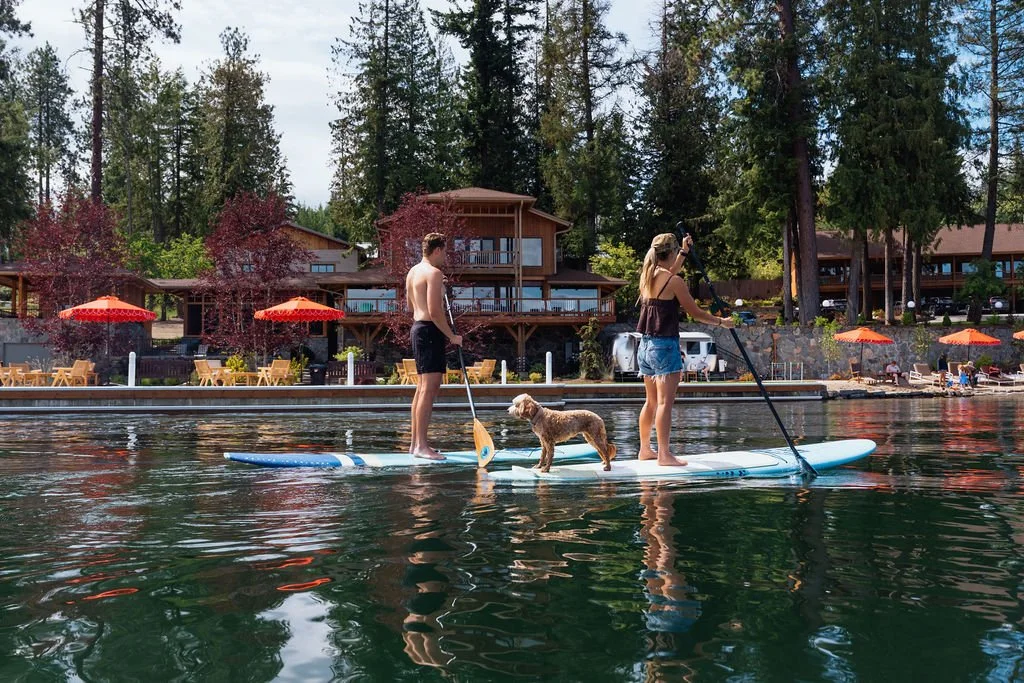 A man and woman paddleboarding on a lake with a dog between them, with trees and houses along the lakeshore in the background.