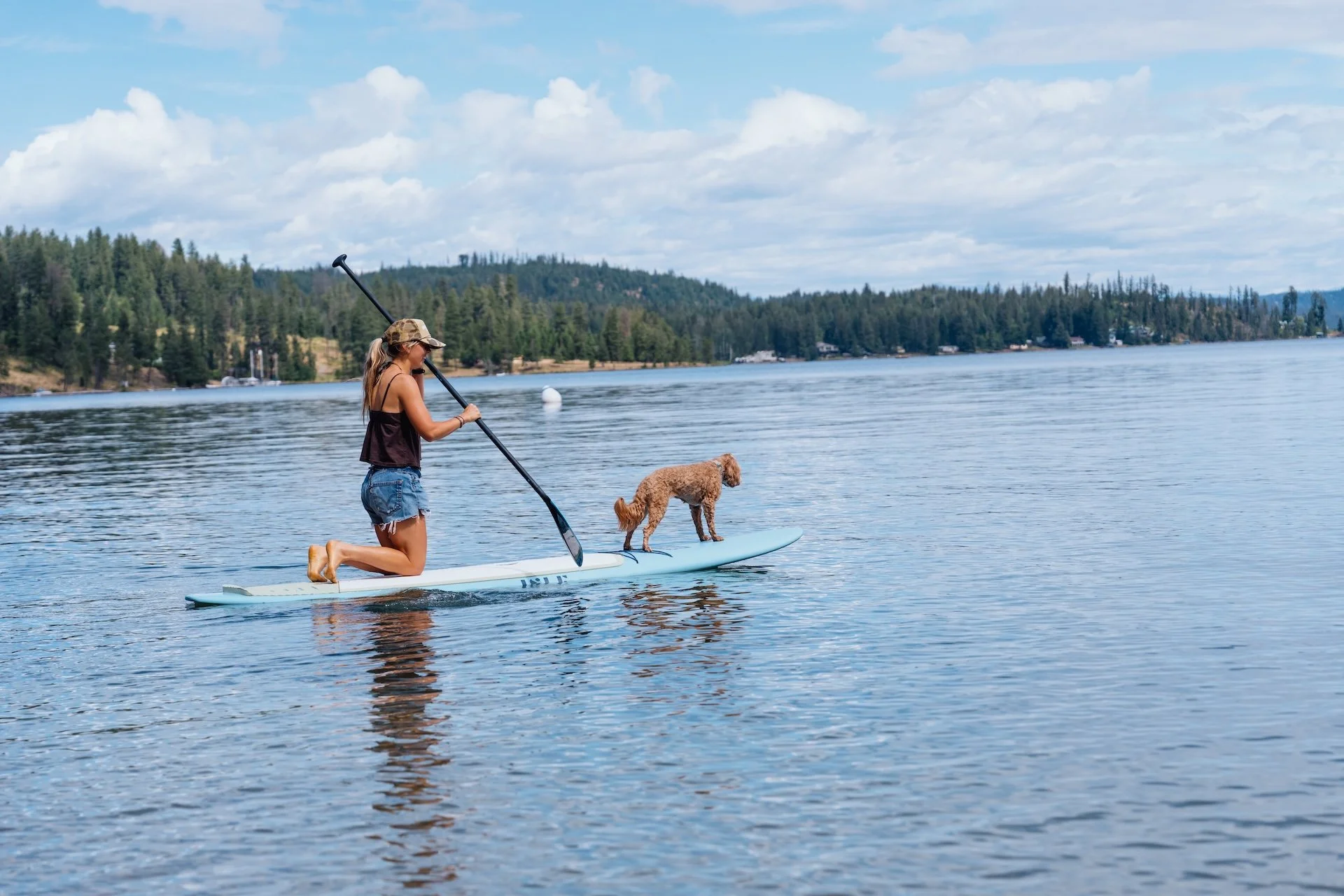 A guest kneeling on a paddleboard with a small dog on Lake Pend Oreille in Sagle, Idaho