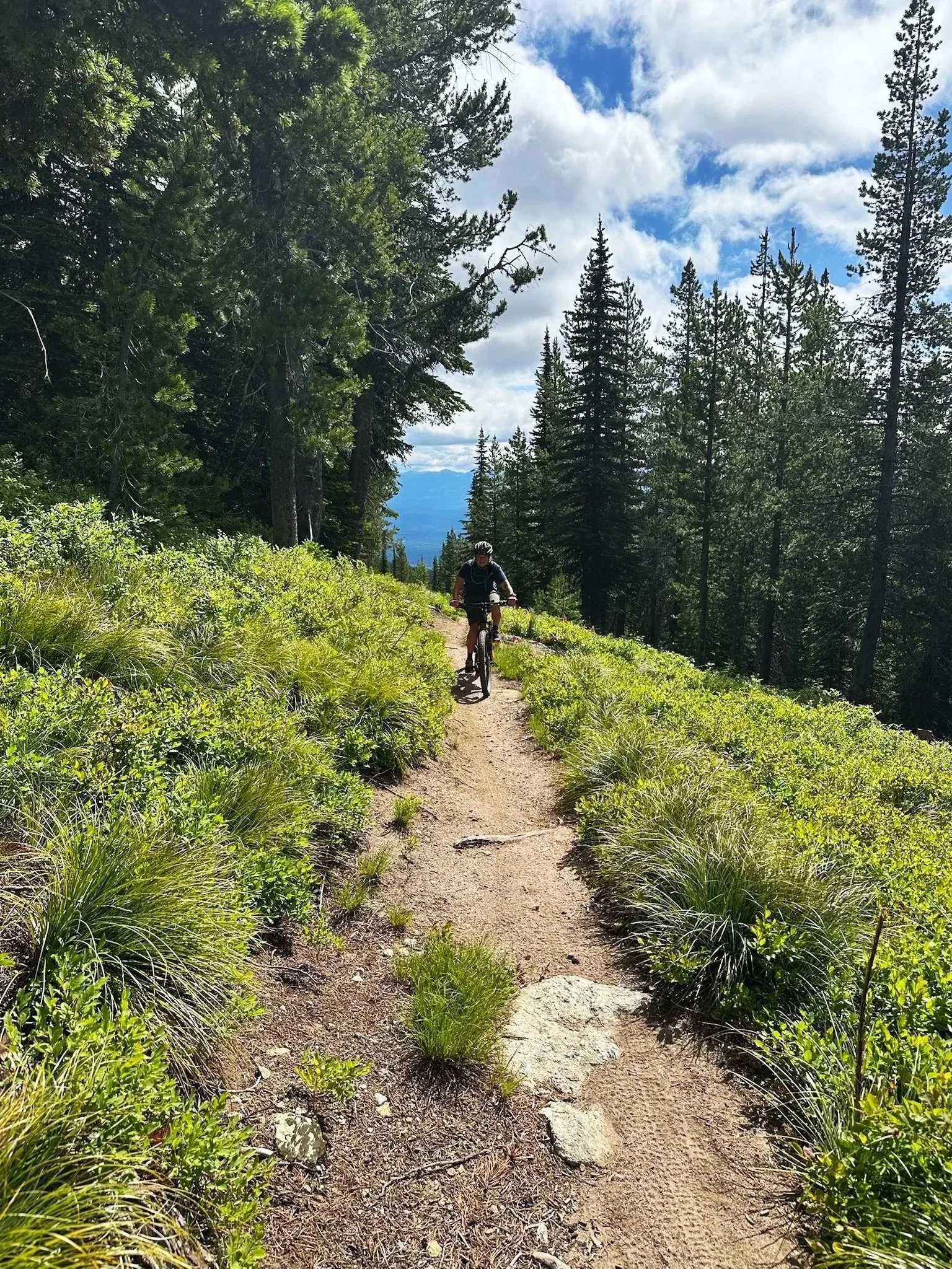 A person mountain biking on a dirt trail through a forested area with pine trees and a cloudy sky.
